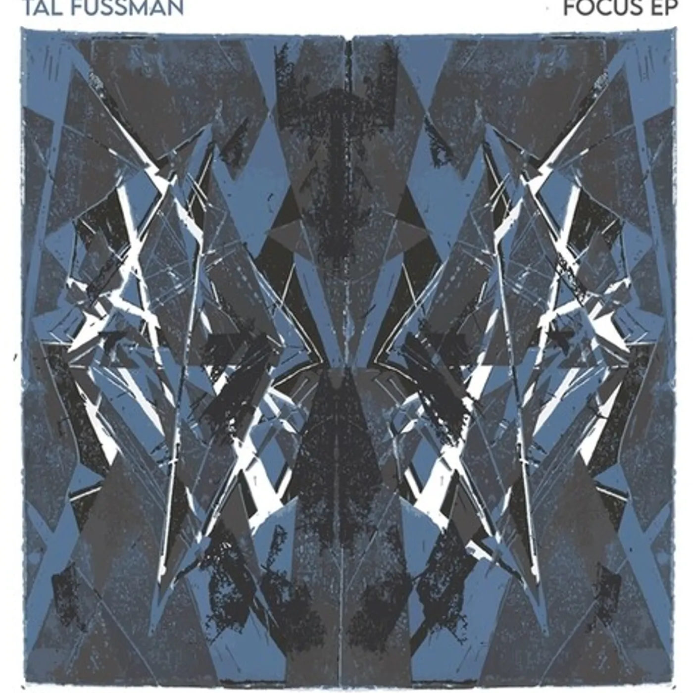 Tal Fussman Focus EP Vinyl Record