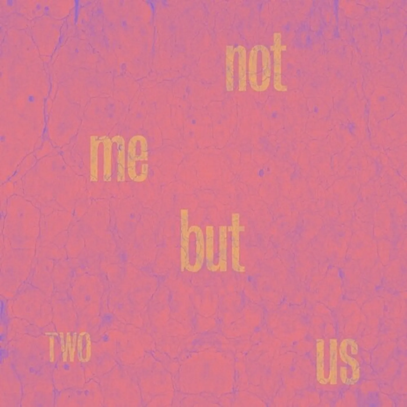 Not Me But Us TWO CD