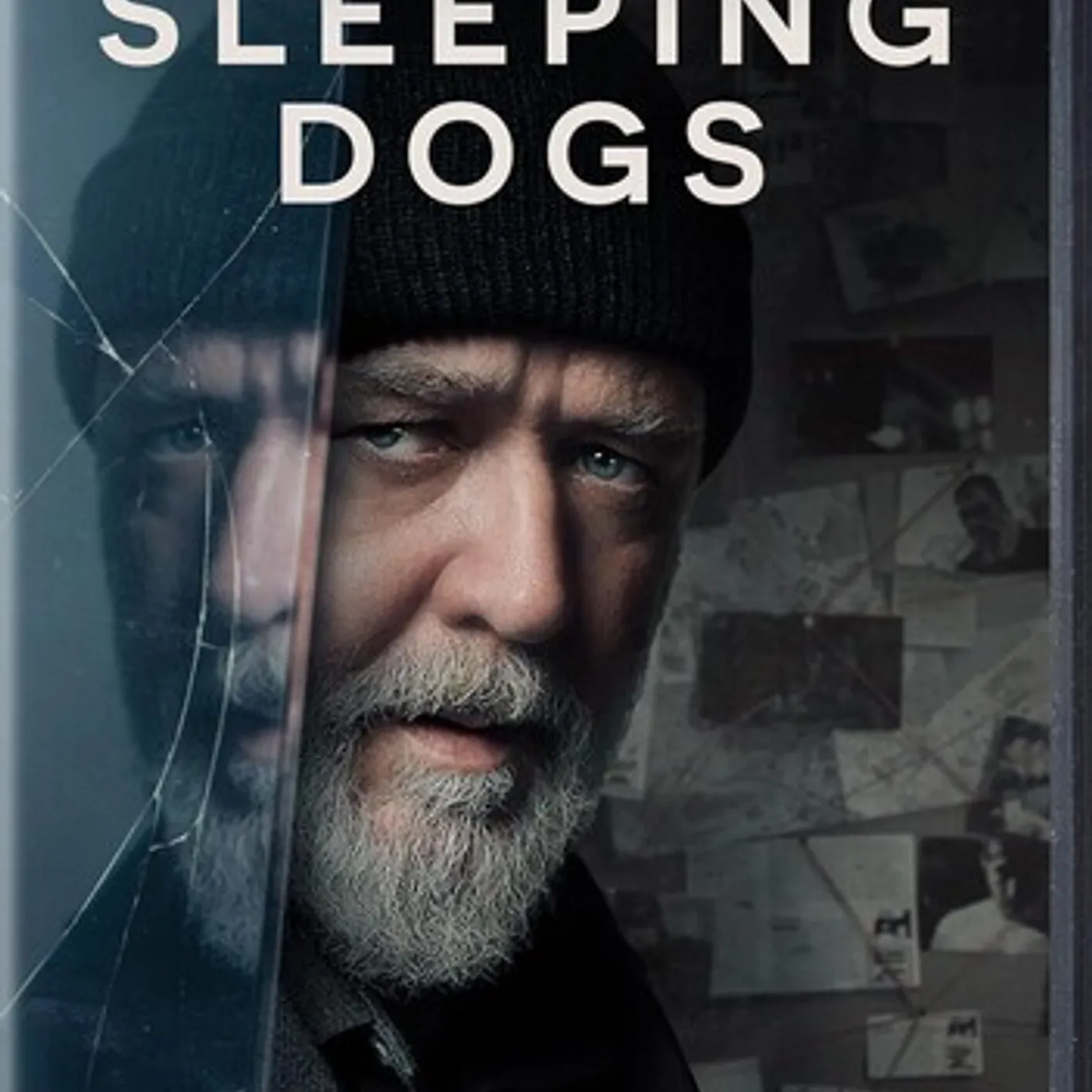 Sleeping Dogs DVD