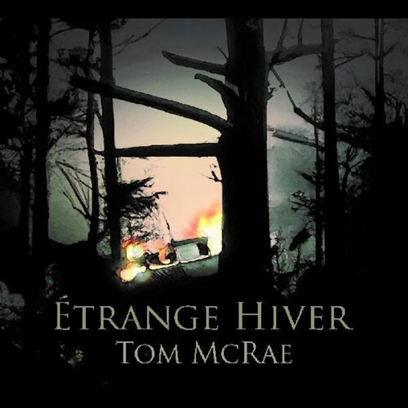 Tom McRae ETRANGE HIVER CD