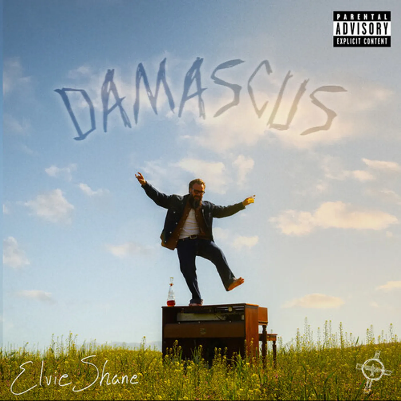 Elvie Shane Damascus Vinyl Record