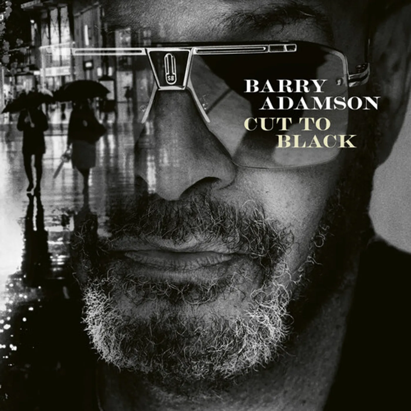 Barry Adamson CUT TO BLACK CD