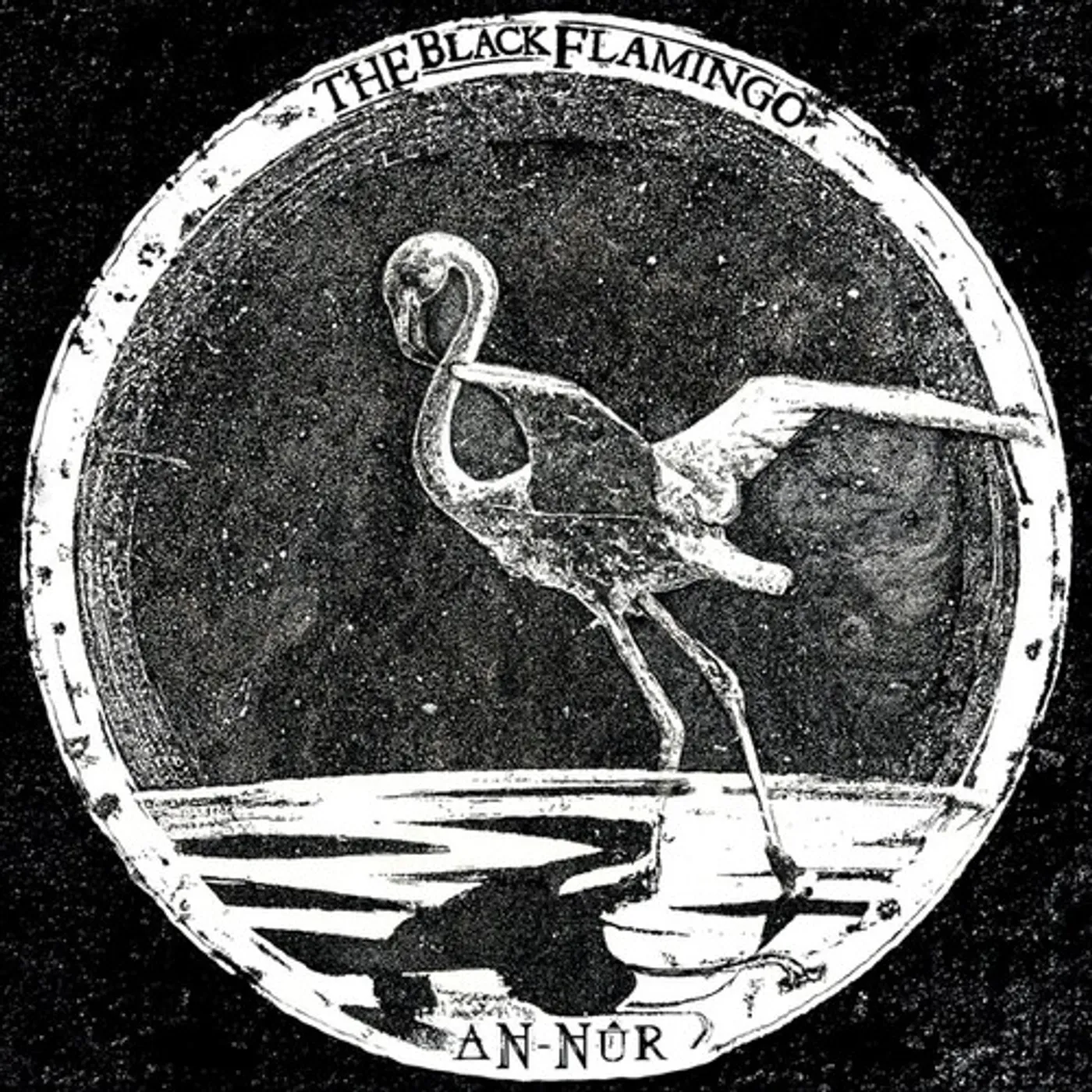 Black Flamingo An-Nur Vinyl Record