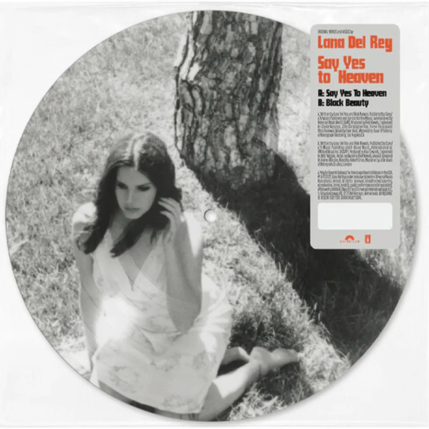 Lana Del Rey Say Yes to Heaven (Picture Disc) Vinyl Record