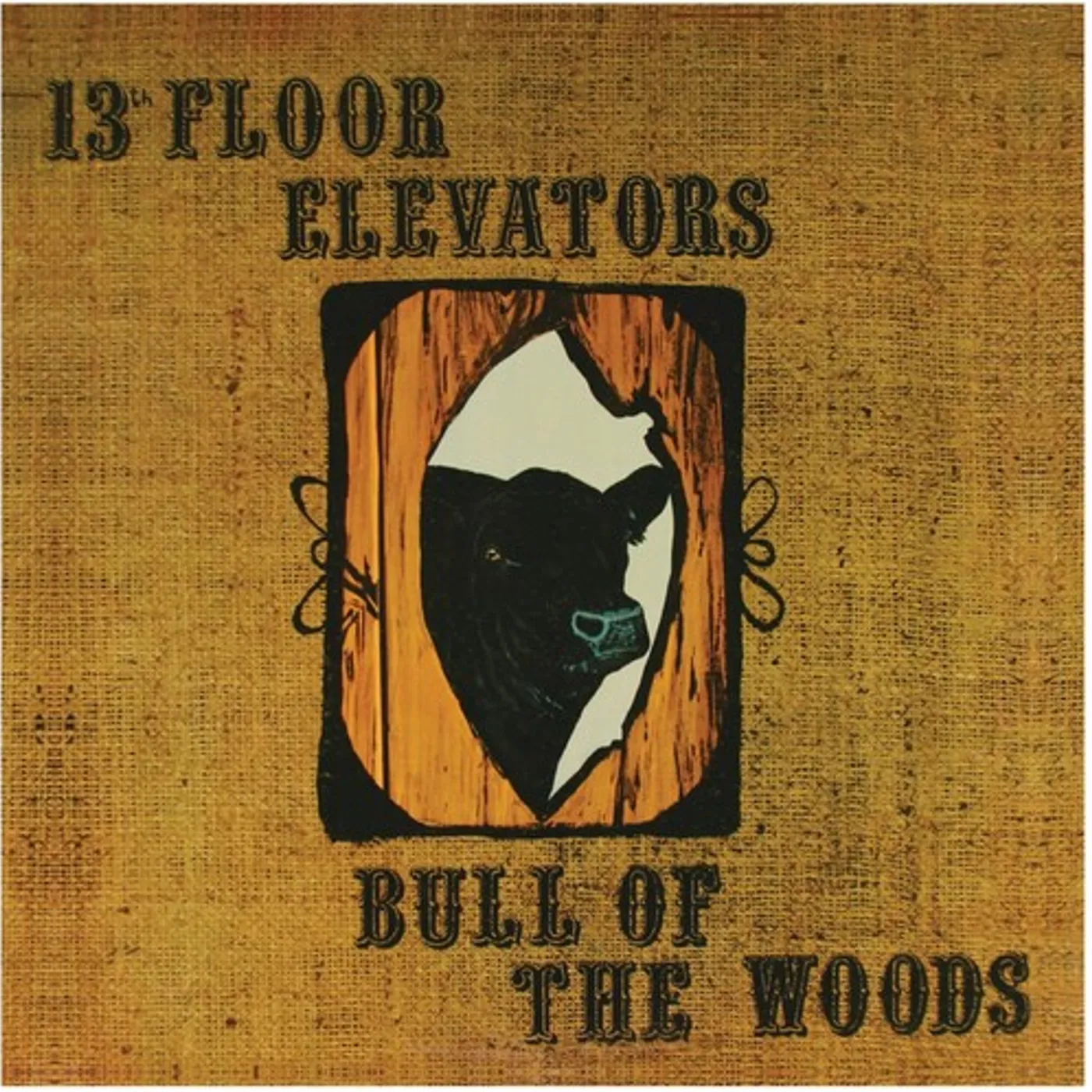 13th Floor Elevators PSYCHEDELIC SOUNDS OF Vinyl Record