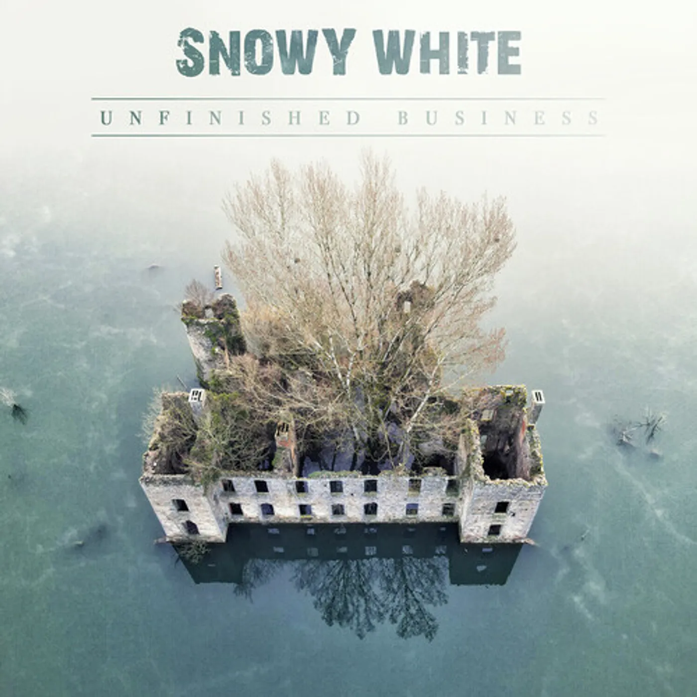 Snowy White UNFINISHED BUSINESS Vinyl Record