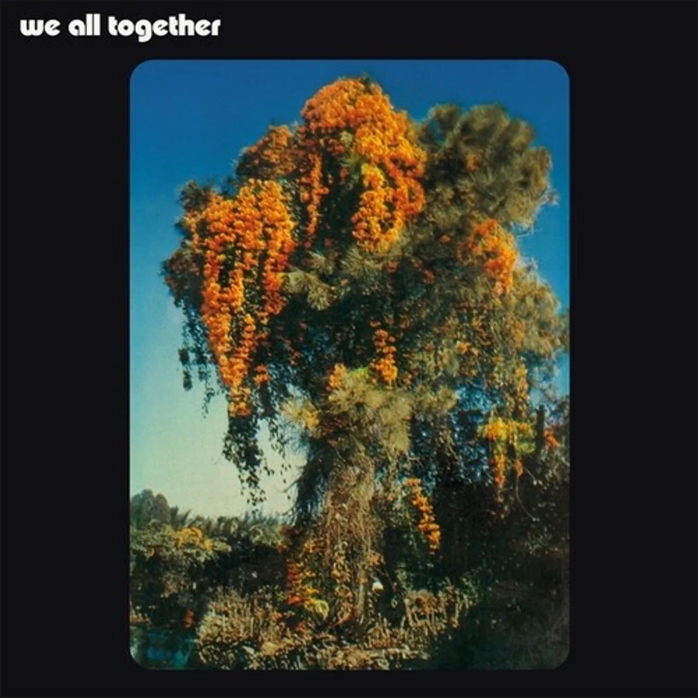 WE ALL TOGETHER Vinyl Record