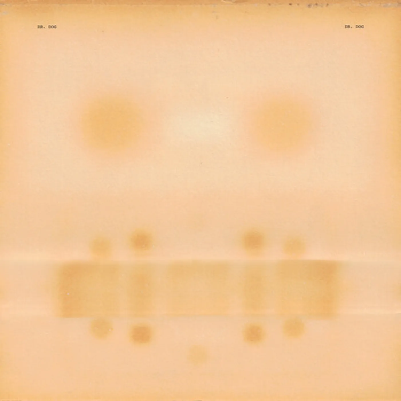 DR. DOG Vinyl Record
