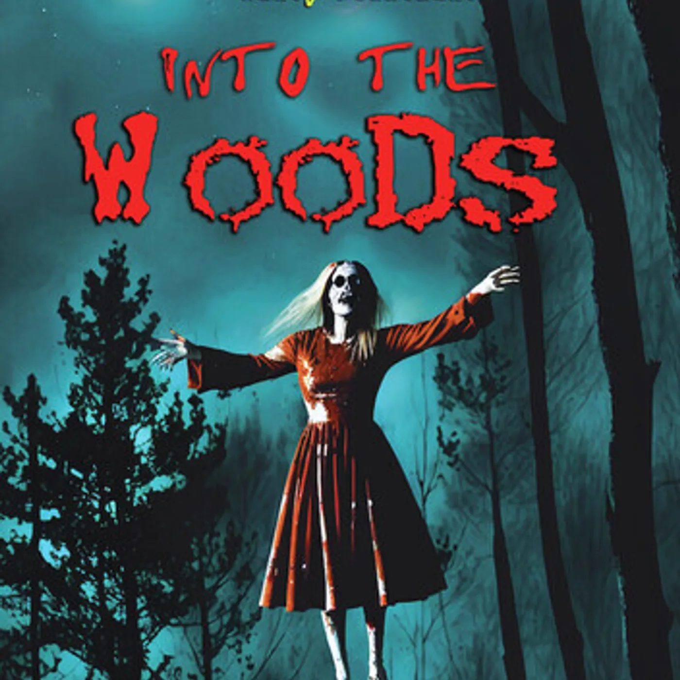 INTO THE WOODS DVD