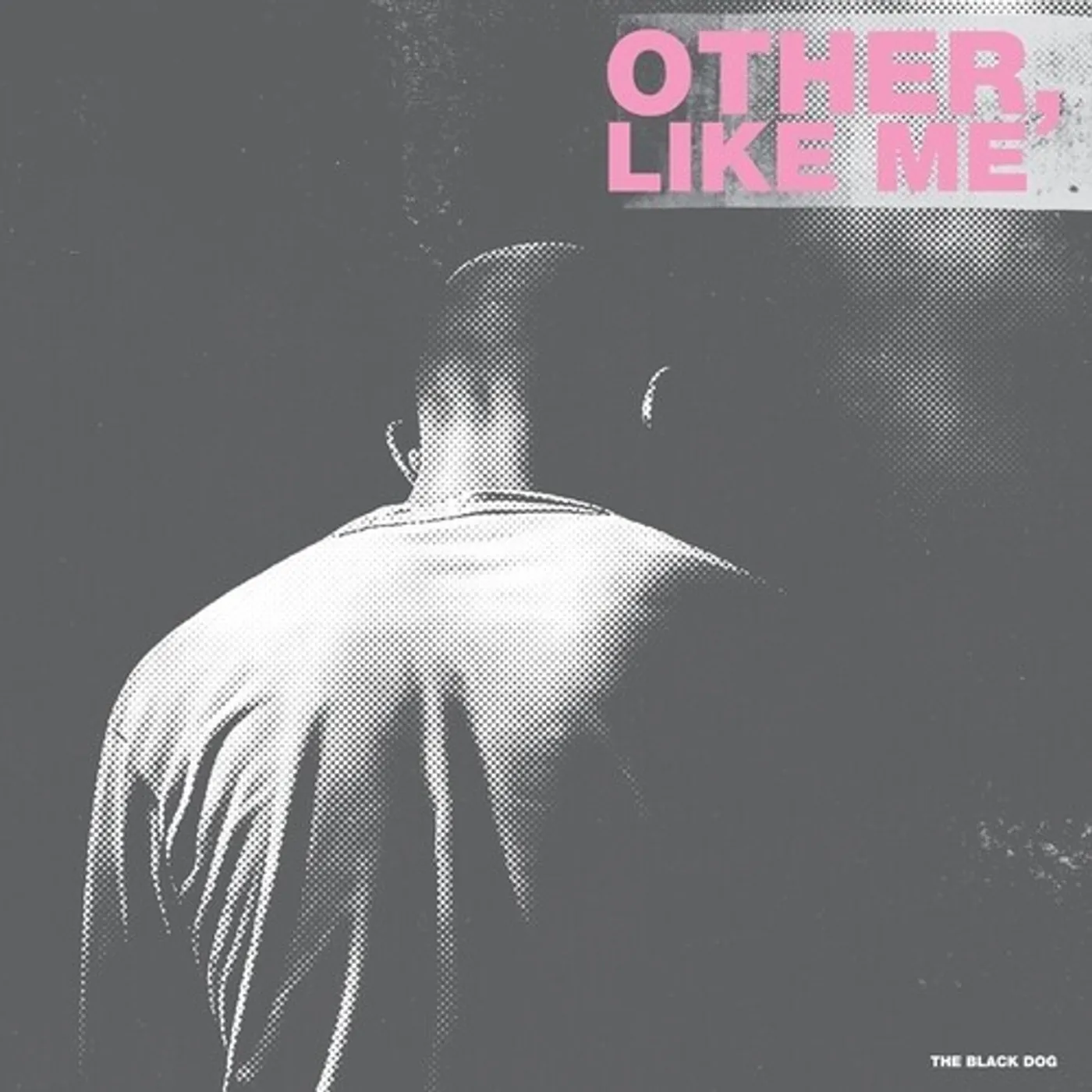 Black Dog OTHER LIKE ME CD