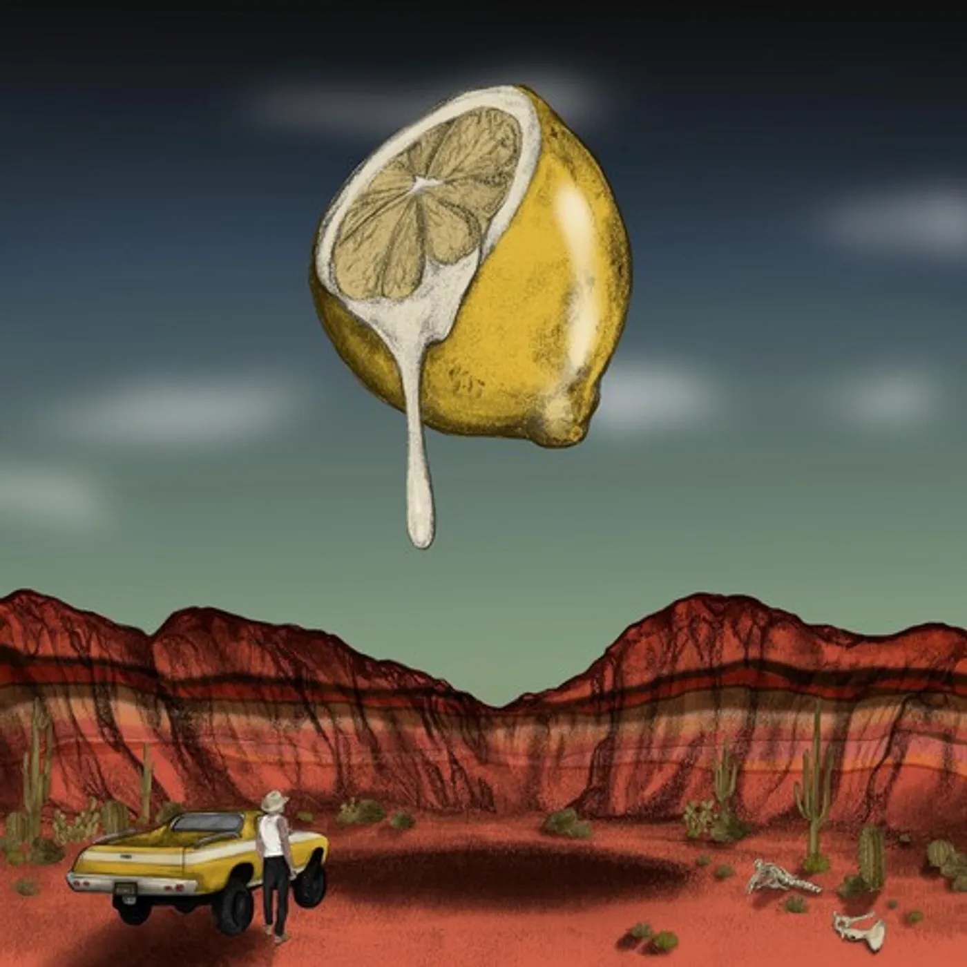 Bones Owens Love Out Of Lemons Vinyl Record