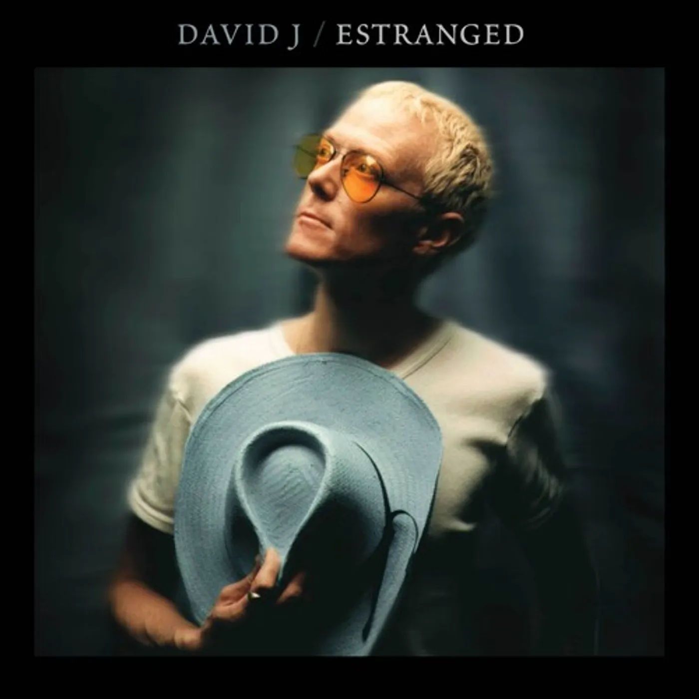 David J ESTRANGED CD