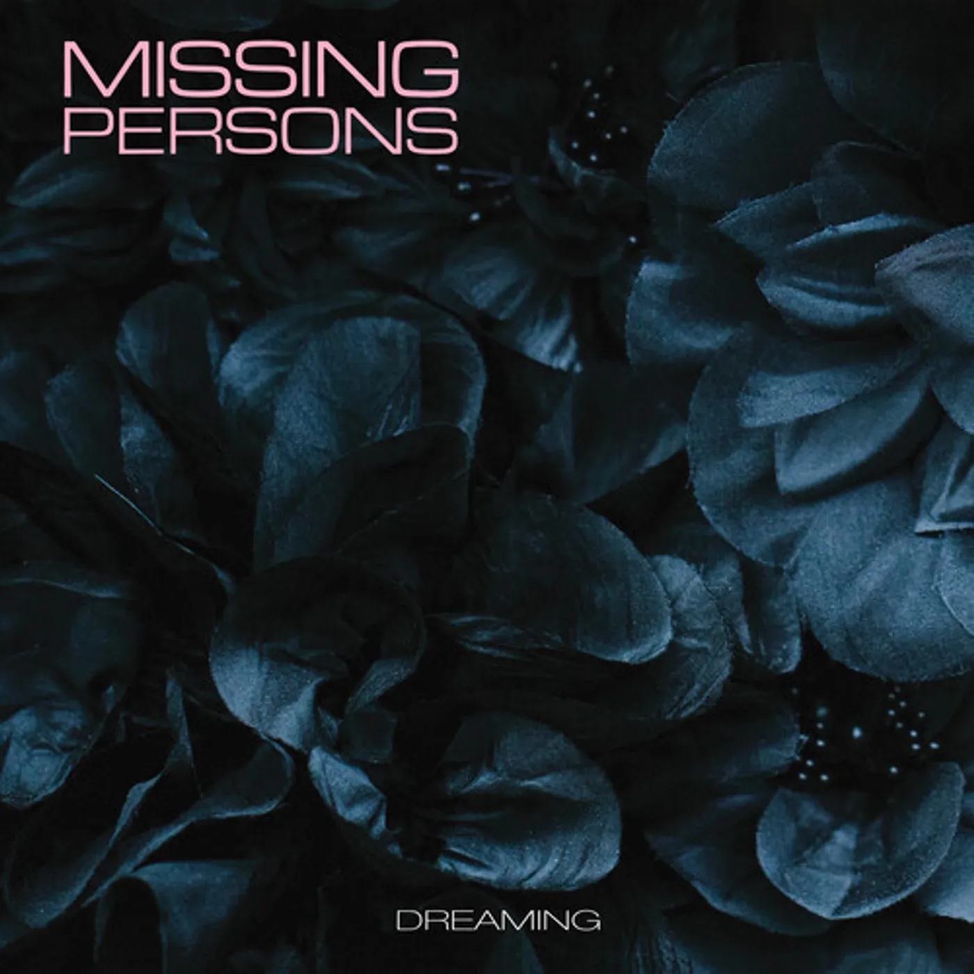 Missing Persons DREAMING CD