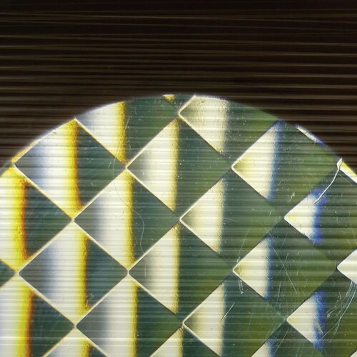Samara Lubelski INDEXICAL/RHIZOME CD