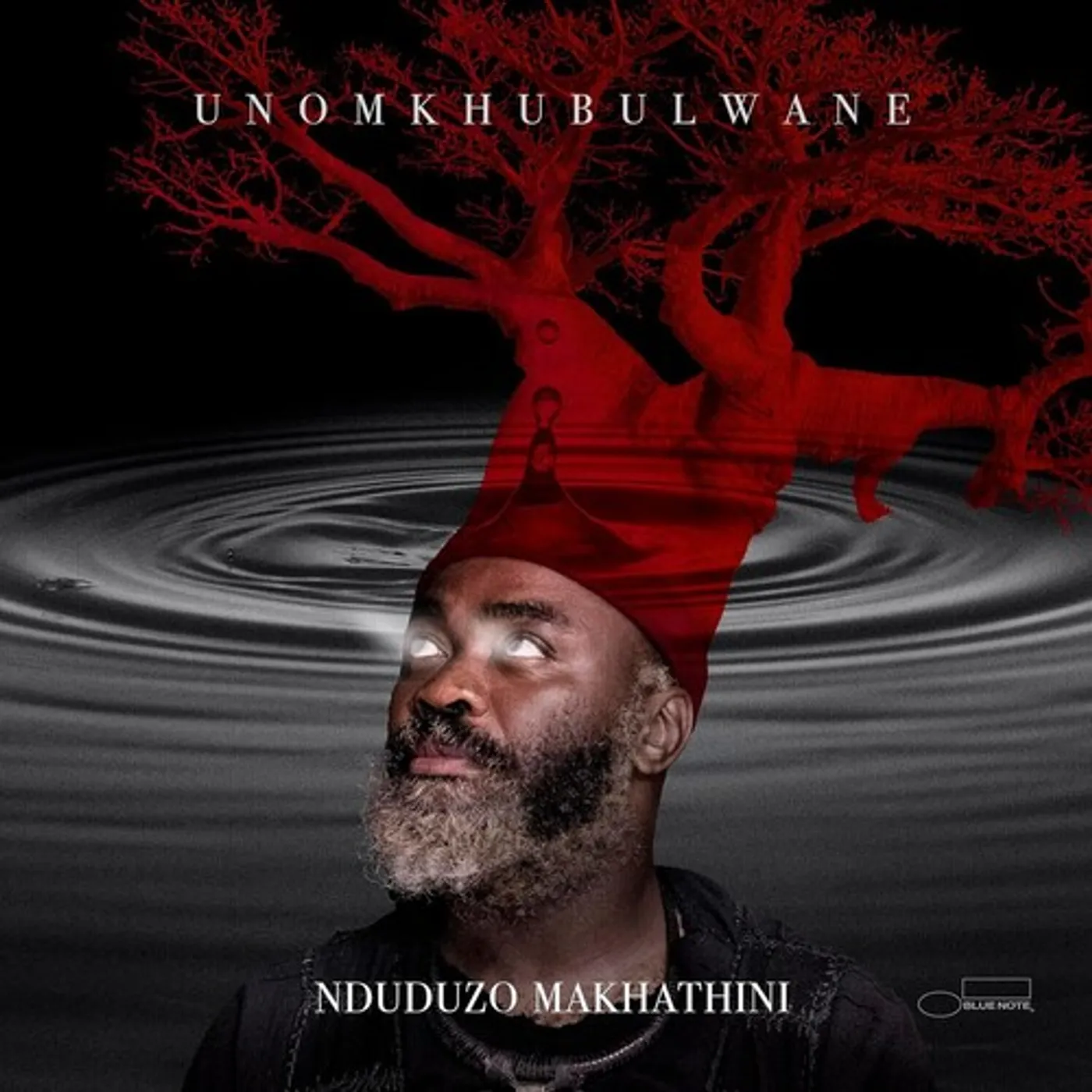 Nduduzo Makhathini UNOMKHUBULWANE Vinyl Record