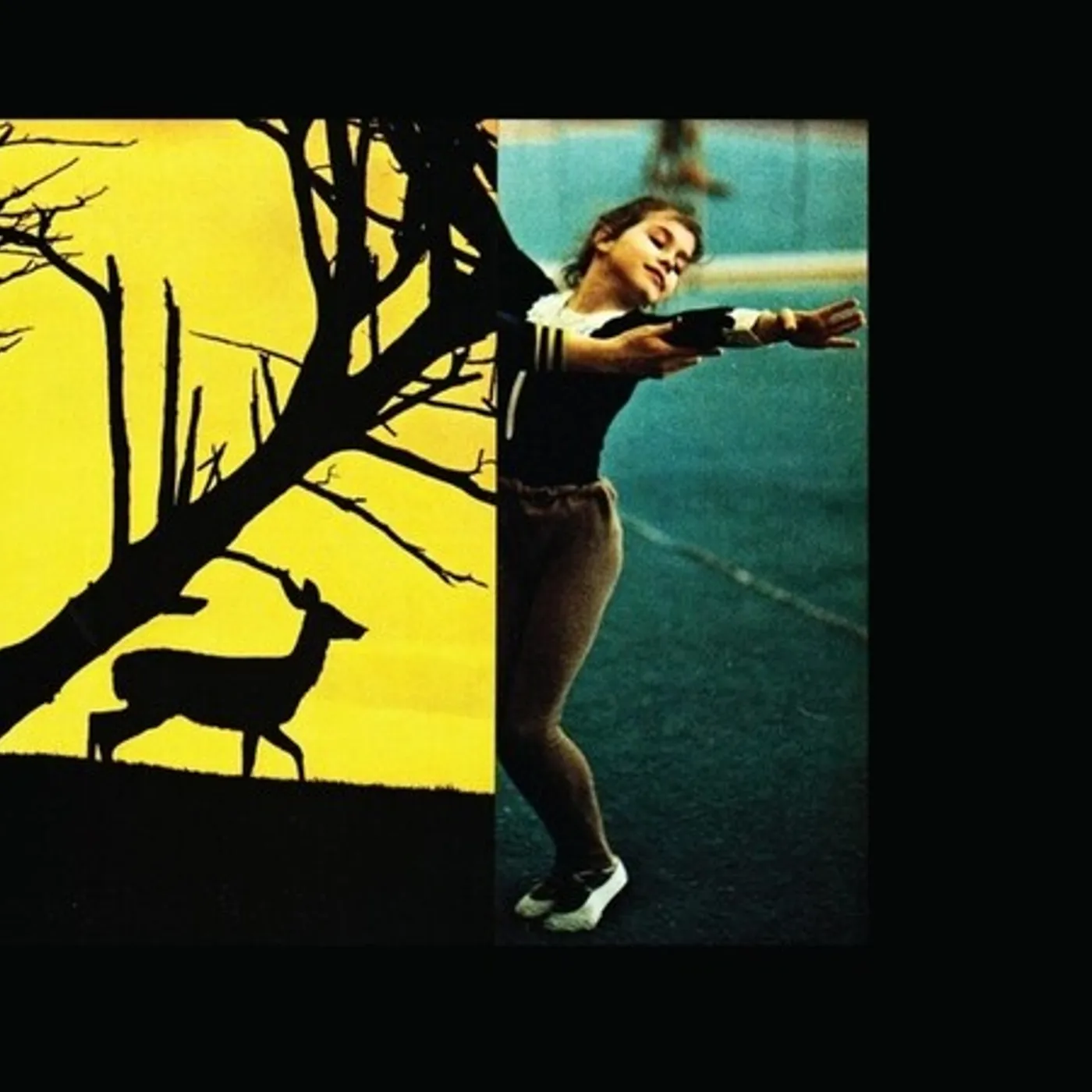 Consumer Electronics SURGE CD