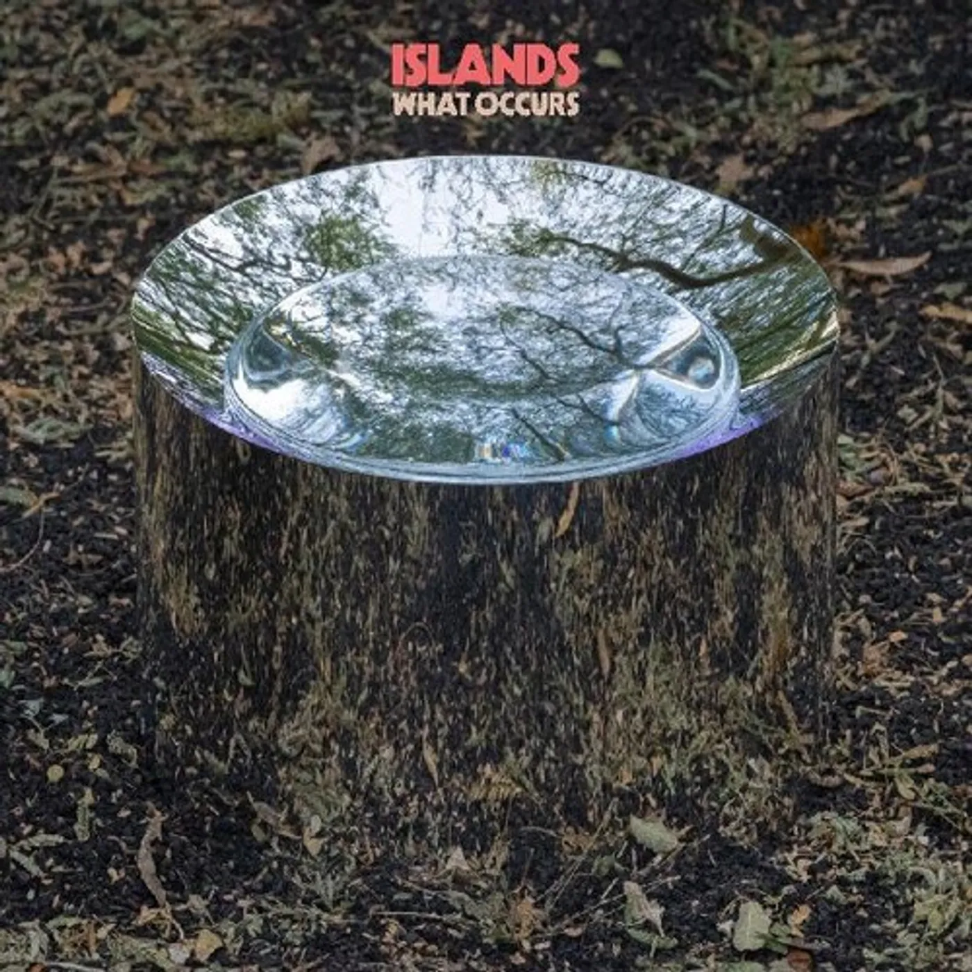 Islands WHAT OCCURS CD