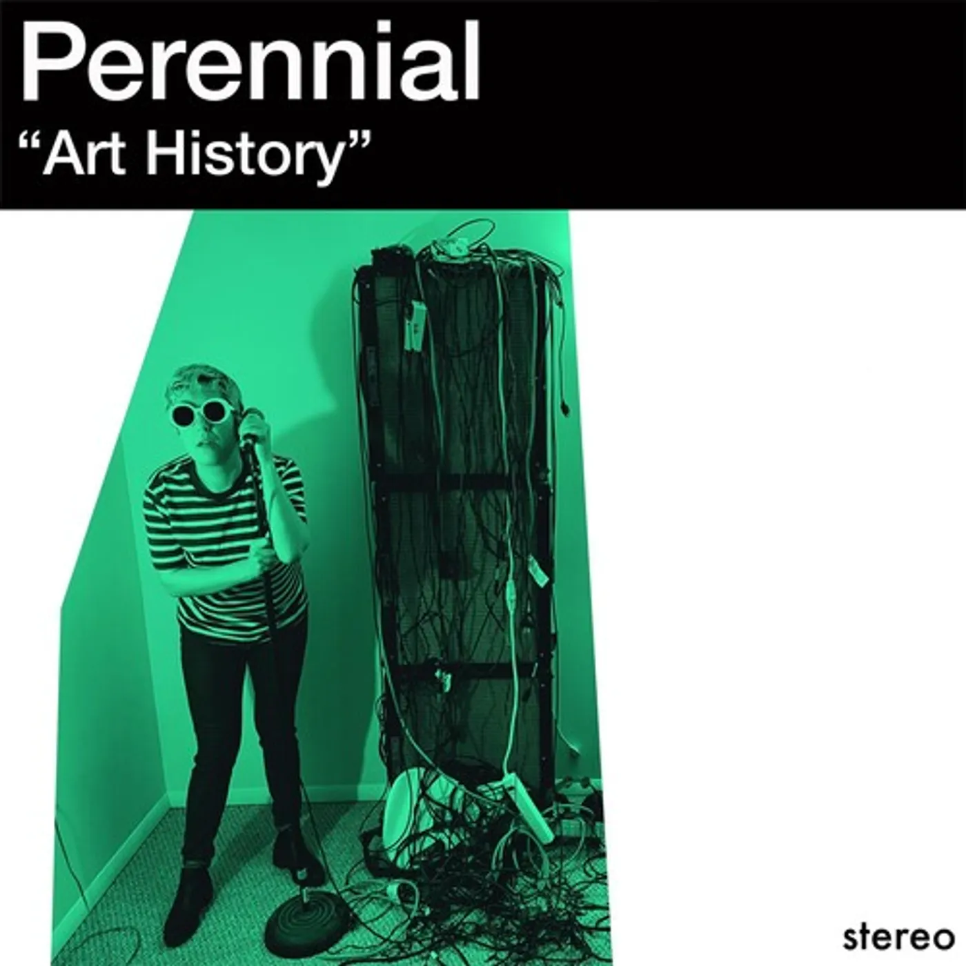 Perennial ART HISTORY Vinyl Record