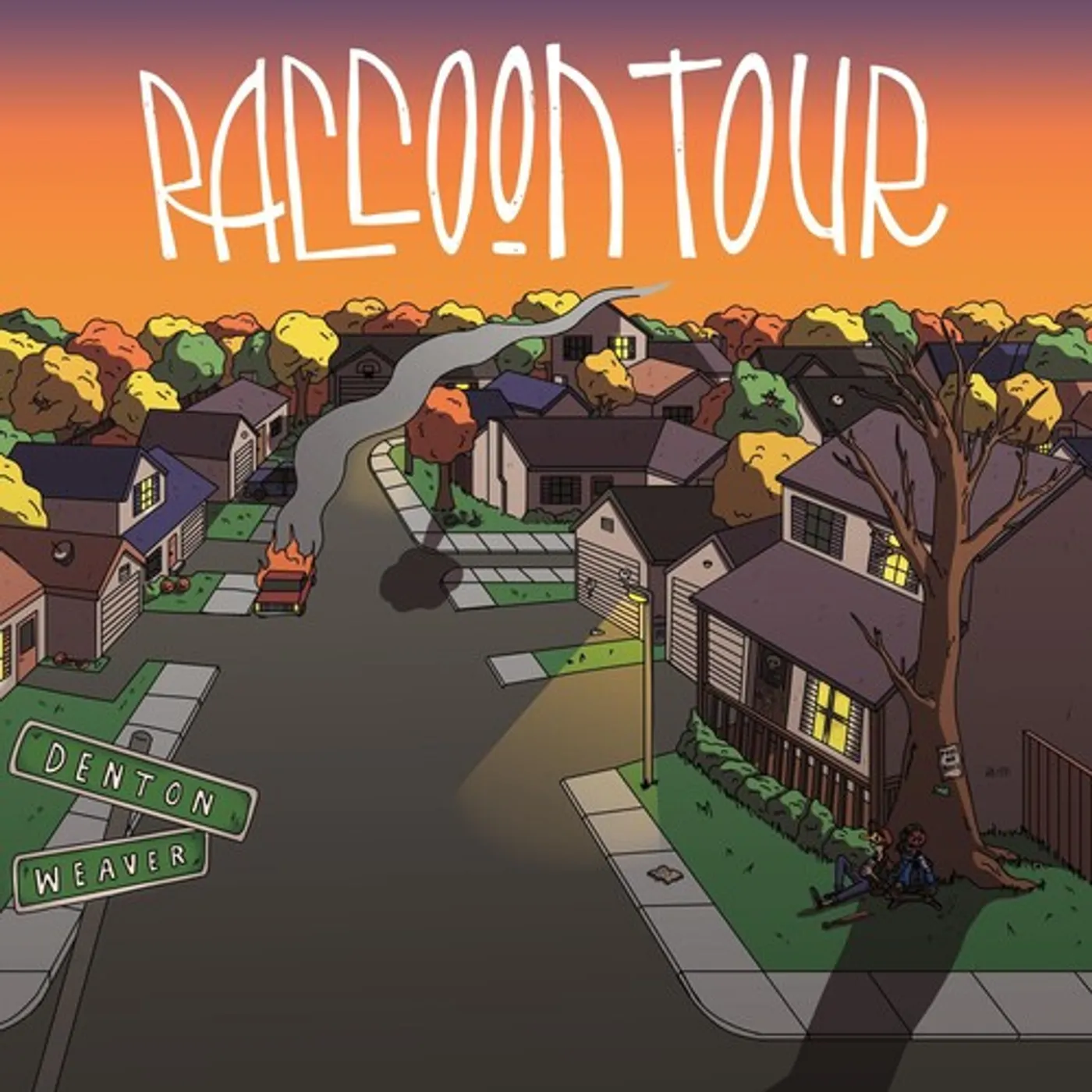 Raccoon Tour DENTONWEAVER Vinyl Record