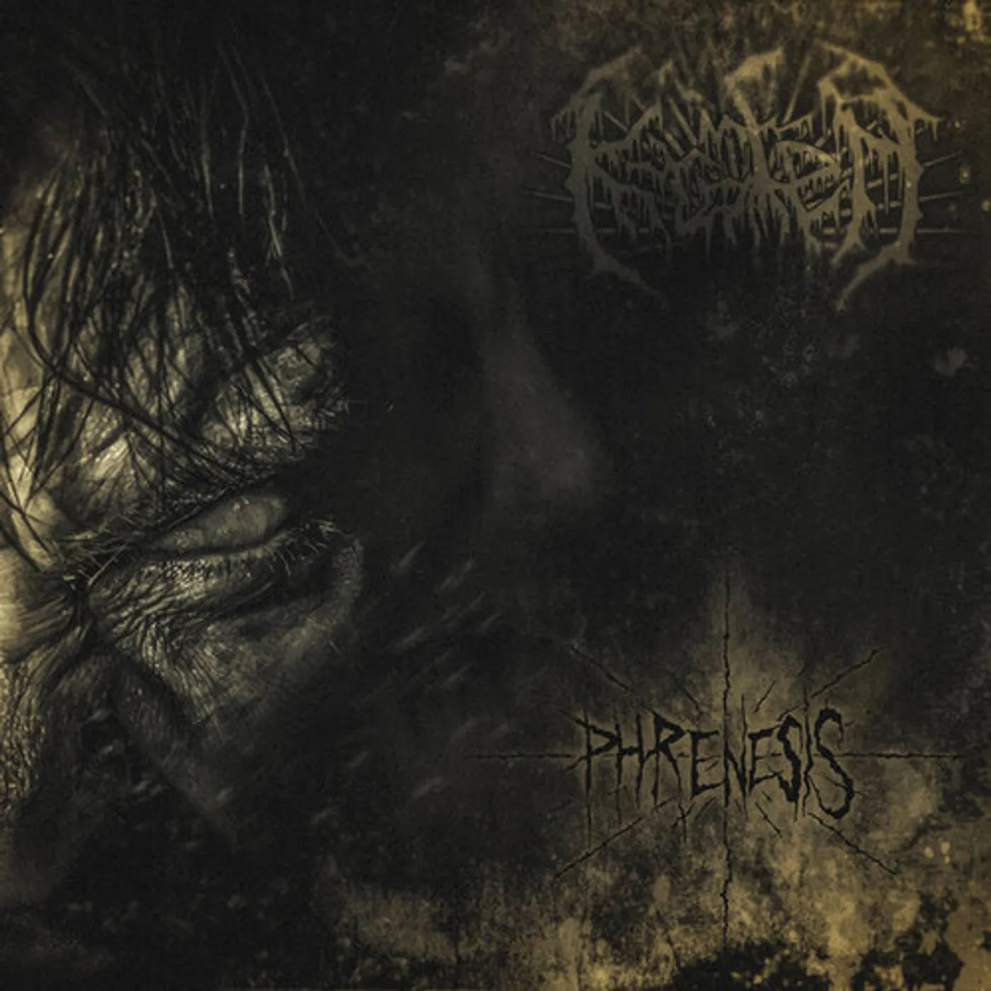 Krater PHRENESIS CD