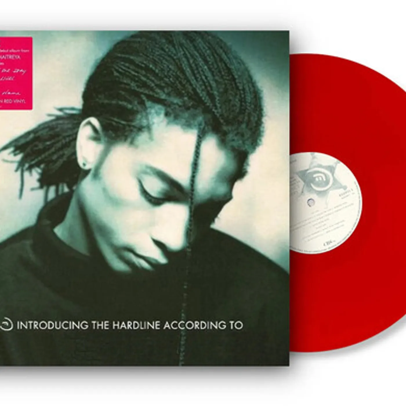 Karaoke - Terence Trent D'arby INTRODUCING THE HARDLINE ACCORDING TO TERENCE Vinyl Record