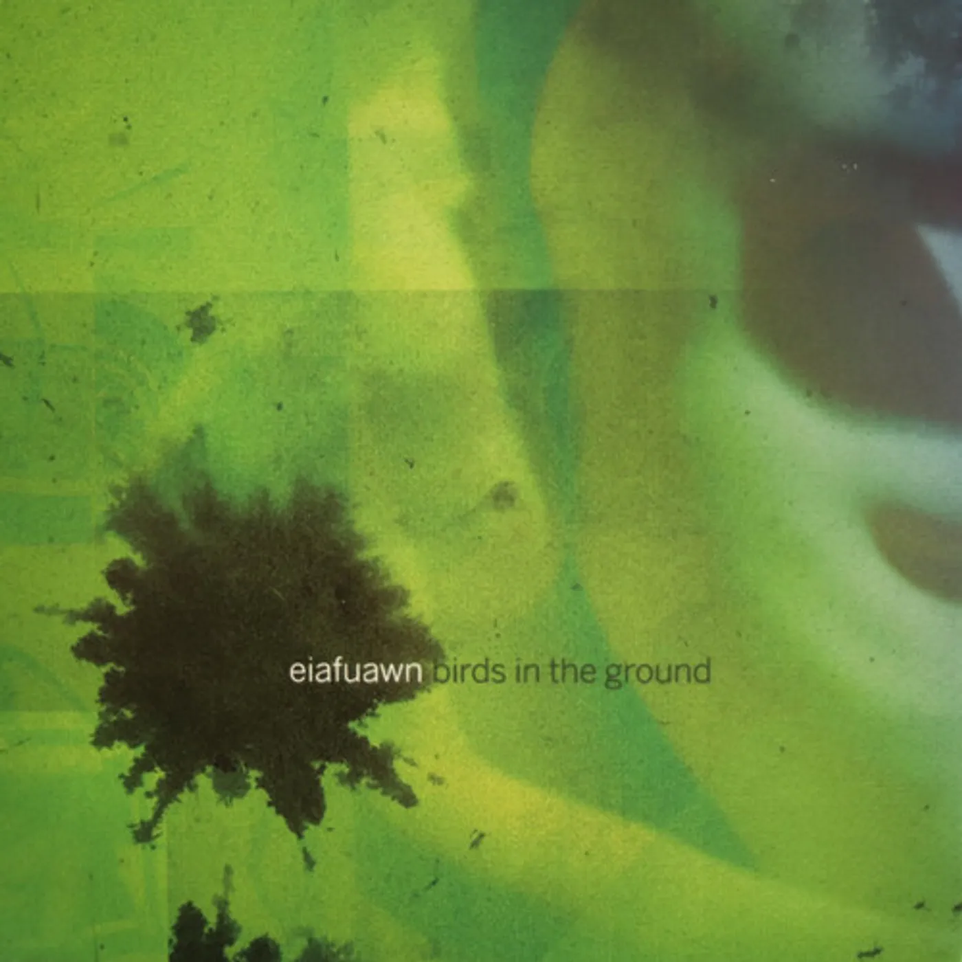 Eiafuawn BIRDS IN THE GROUND CD