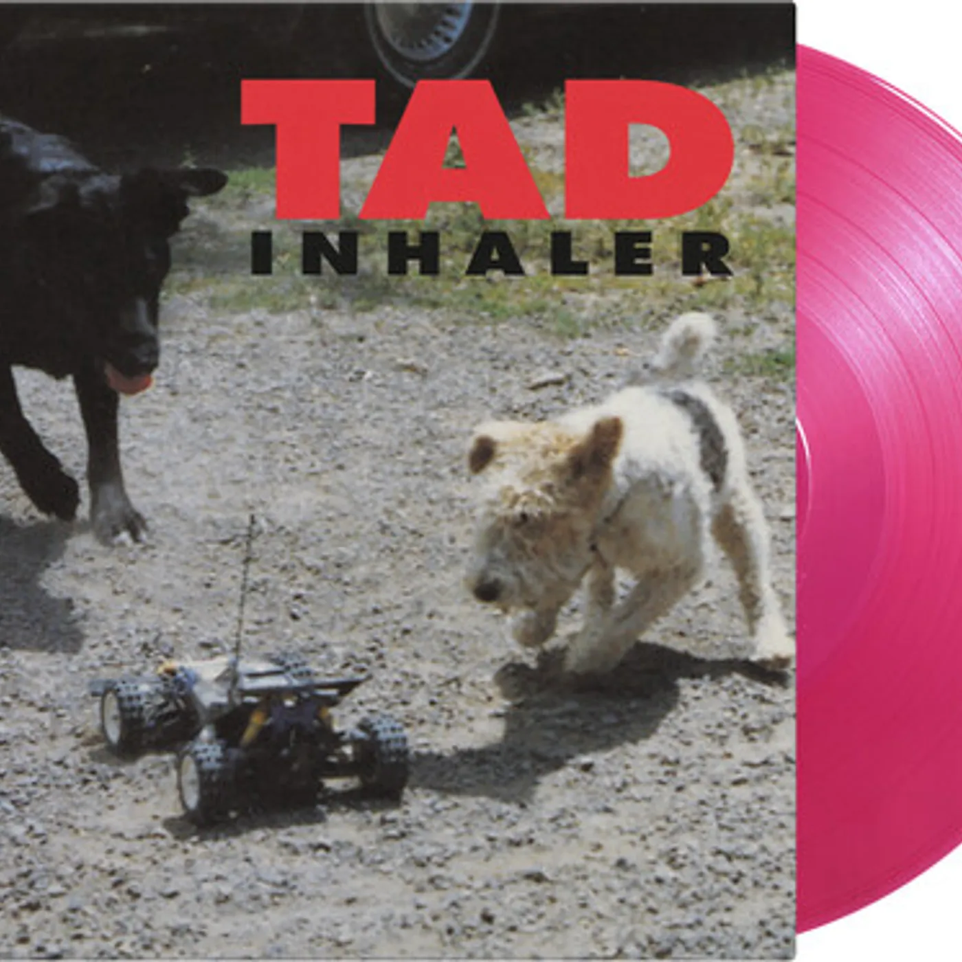 Tad INHALER Vinyl Record