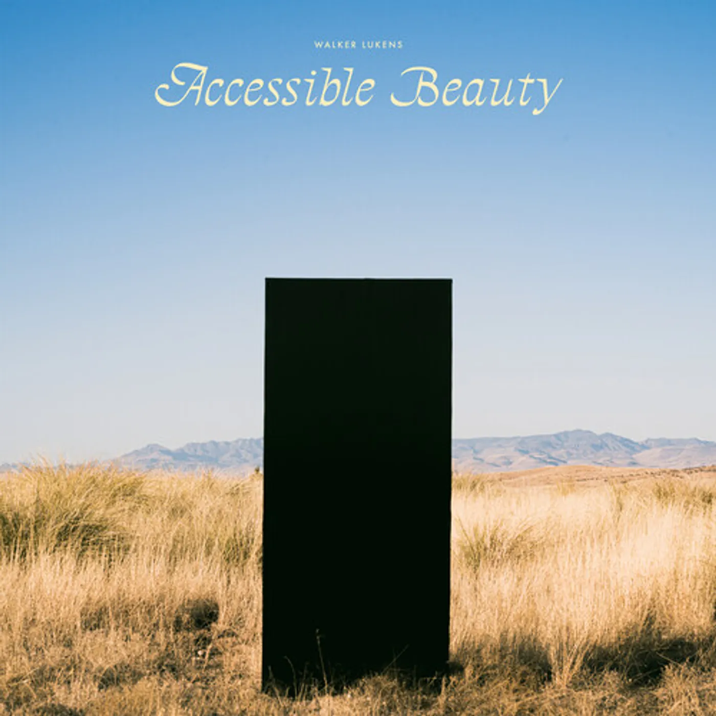 Walker Lukens ACCESSIBLE BEAUTY Vinyl Record