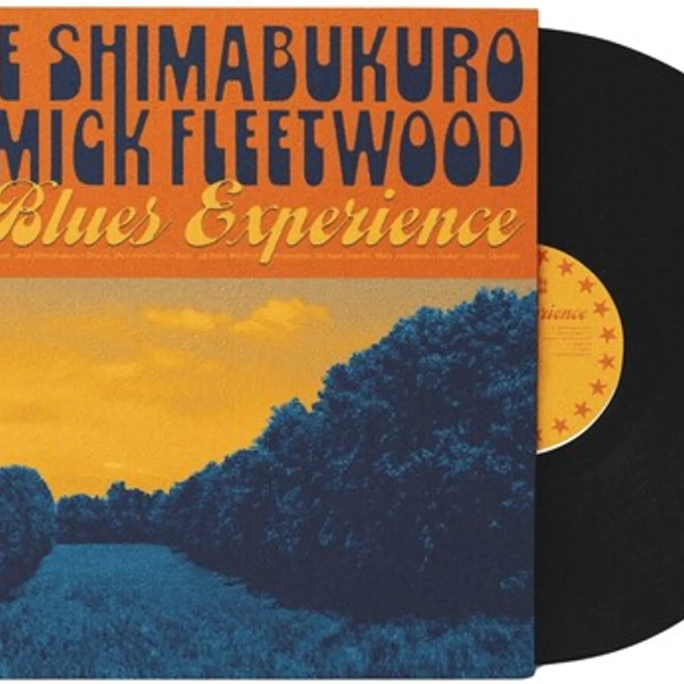 Jake Shimabukuro Blues Experience (180g) Vinyl Record