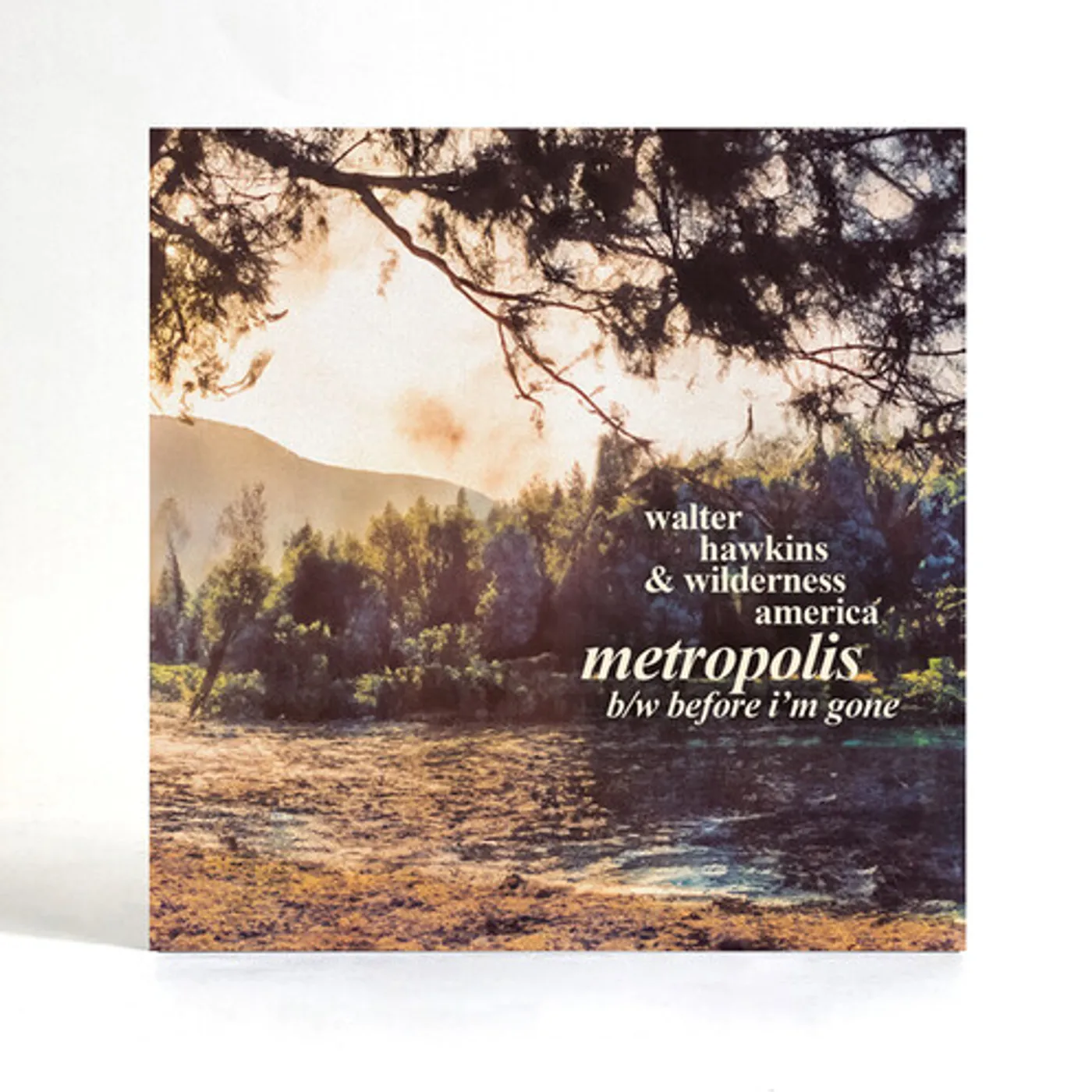 Walter Hawkins Metropolis Vinyl Record
