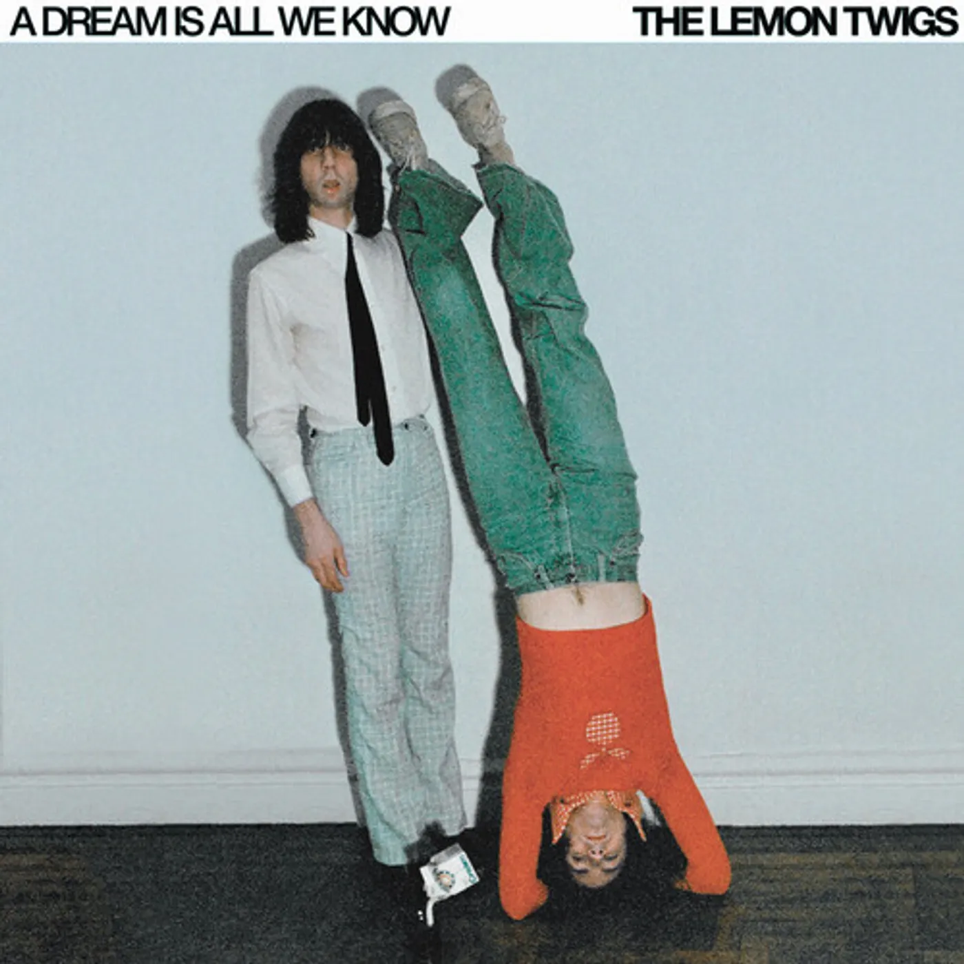 The Lemon Twigs DREAM IS ALL WE KNOW Vinyl Record