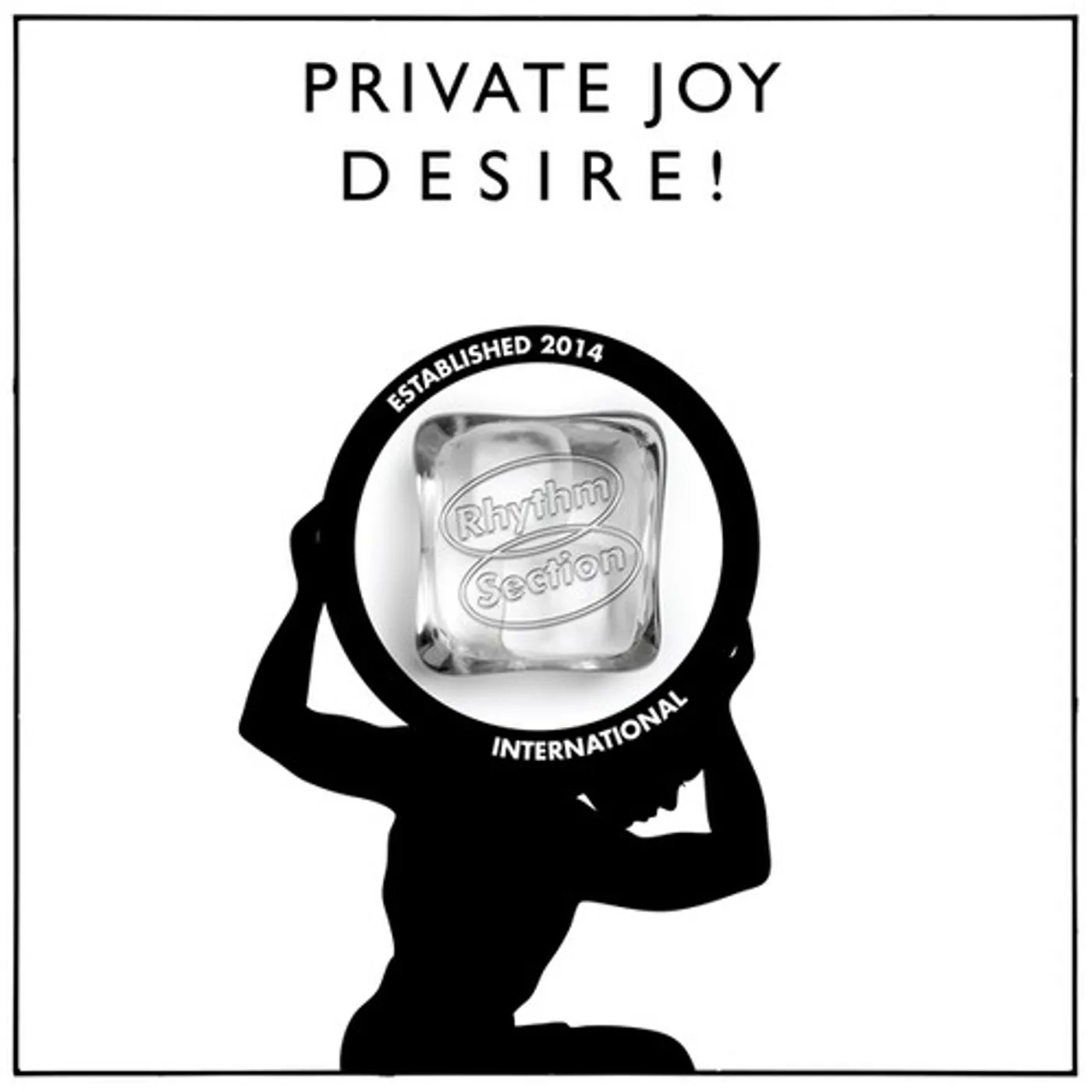 Private Joy Desire! Vinyl Record