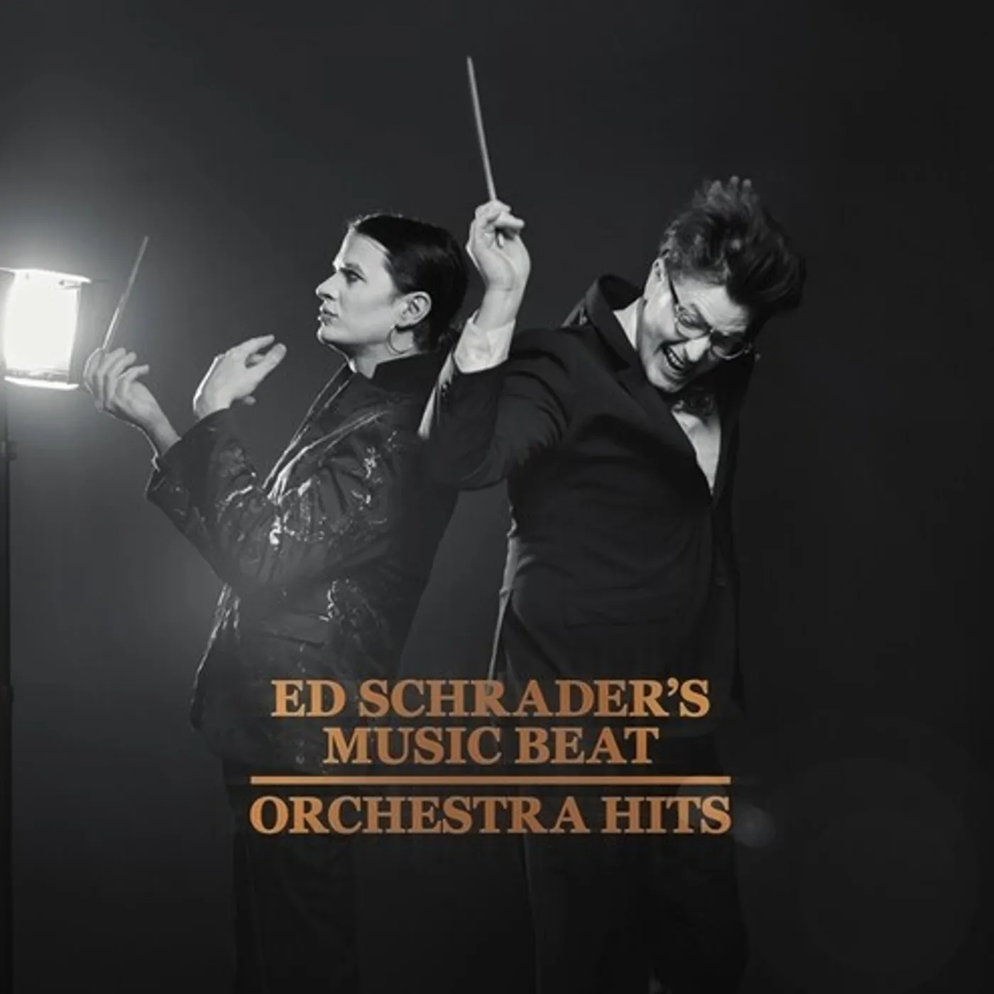 Ed Schrader's Music Beat ORCHESTRA HITS CD