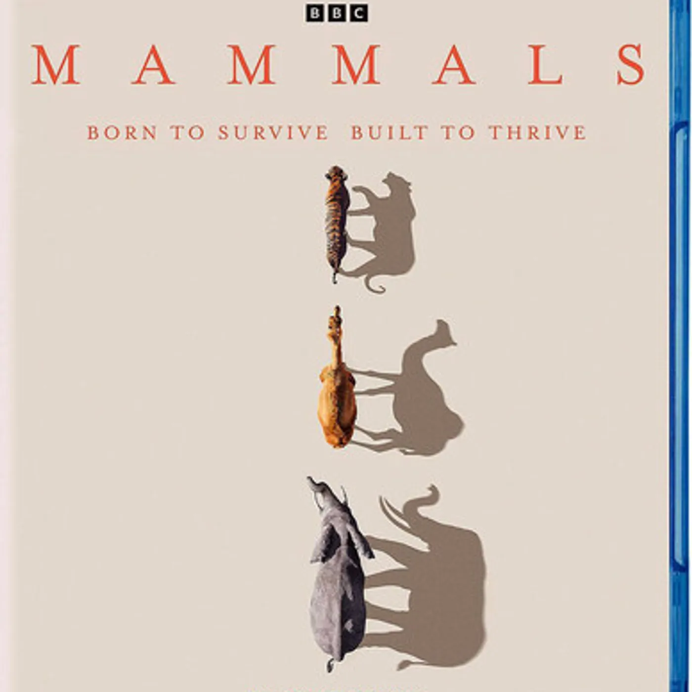 Mammals Blu-ray