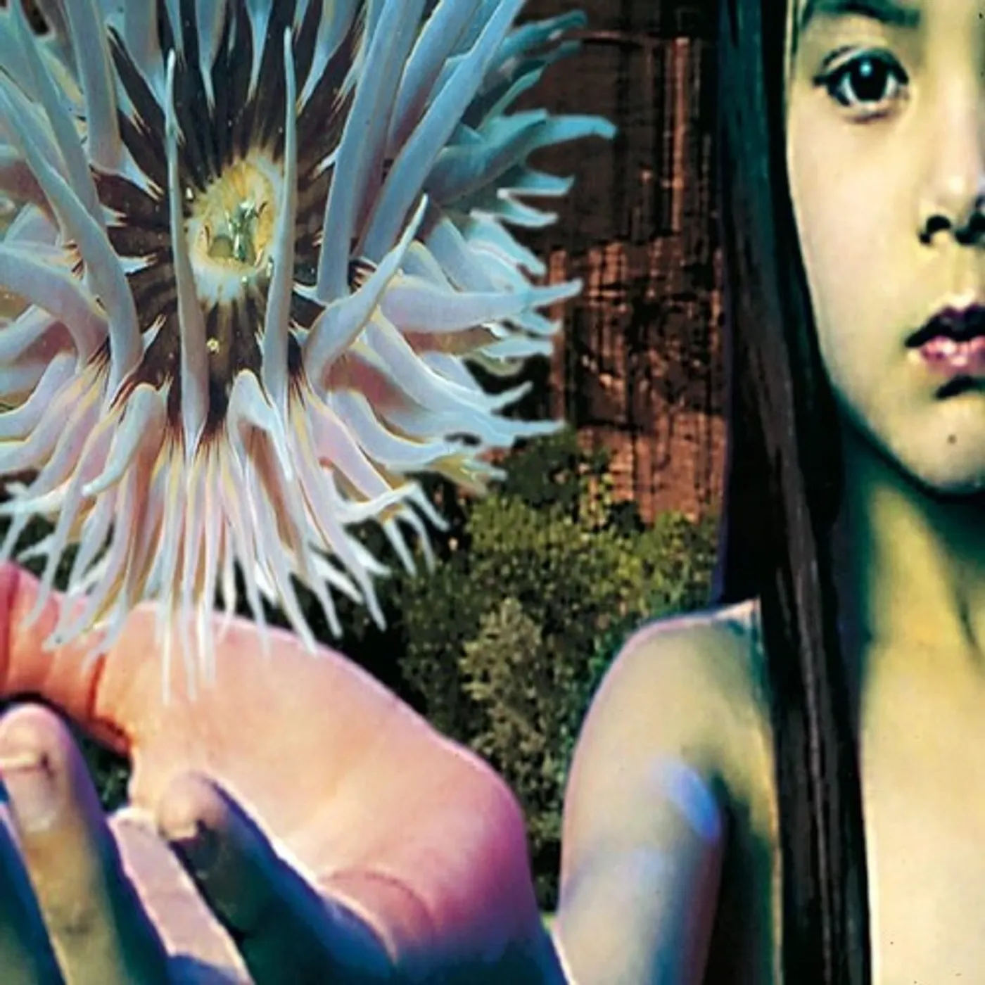 The Future Sound Of London LIFEFORMS Vinyl Record