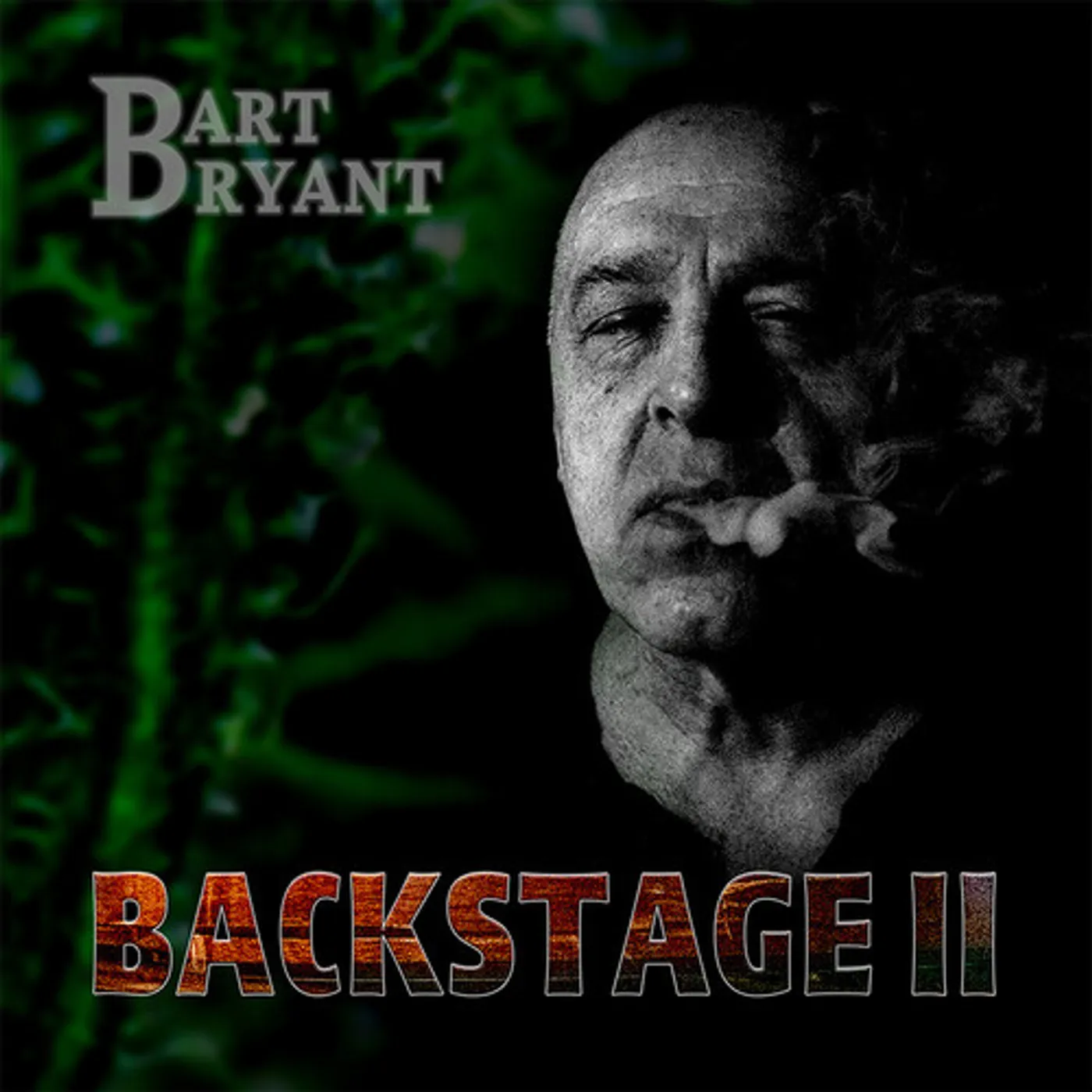 Bart Bryant BACKSTAGE II CD