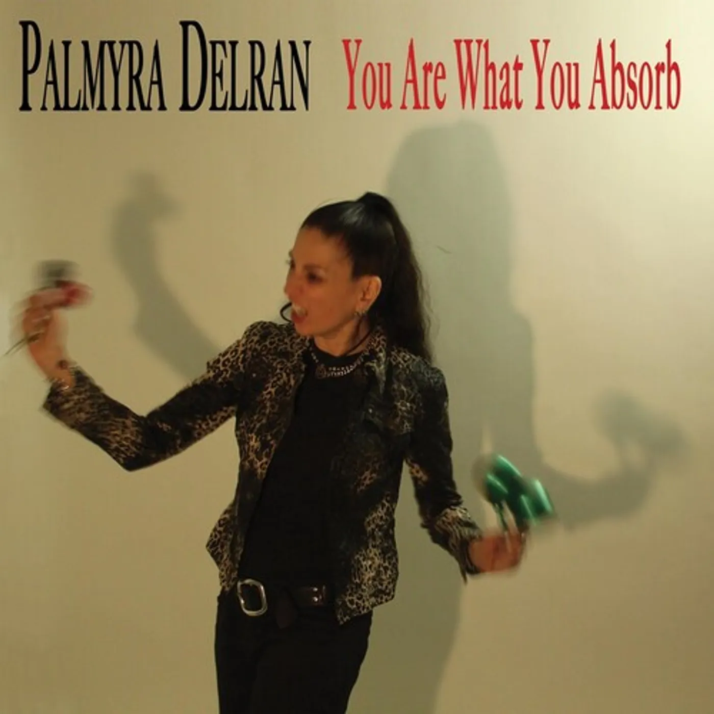 Palmyra Delran YOU ARE WHAT YOU ABSORB CD