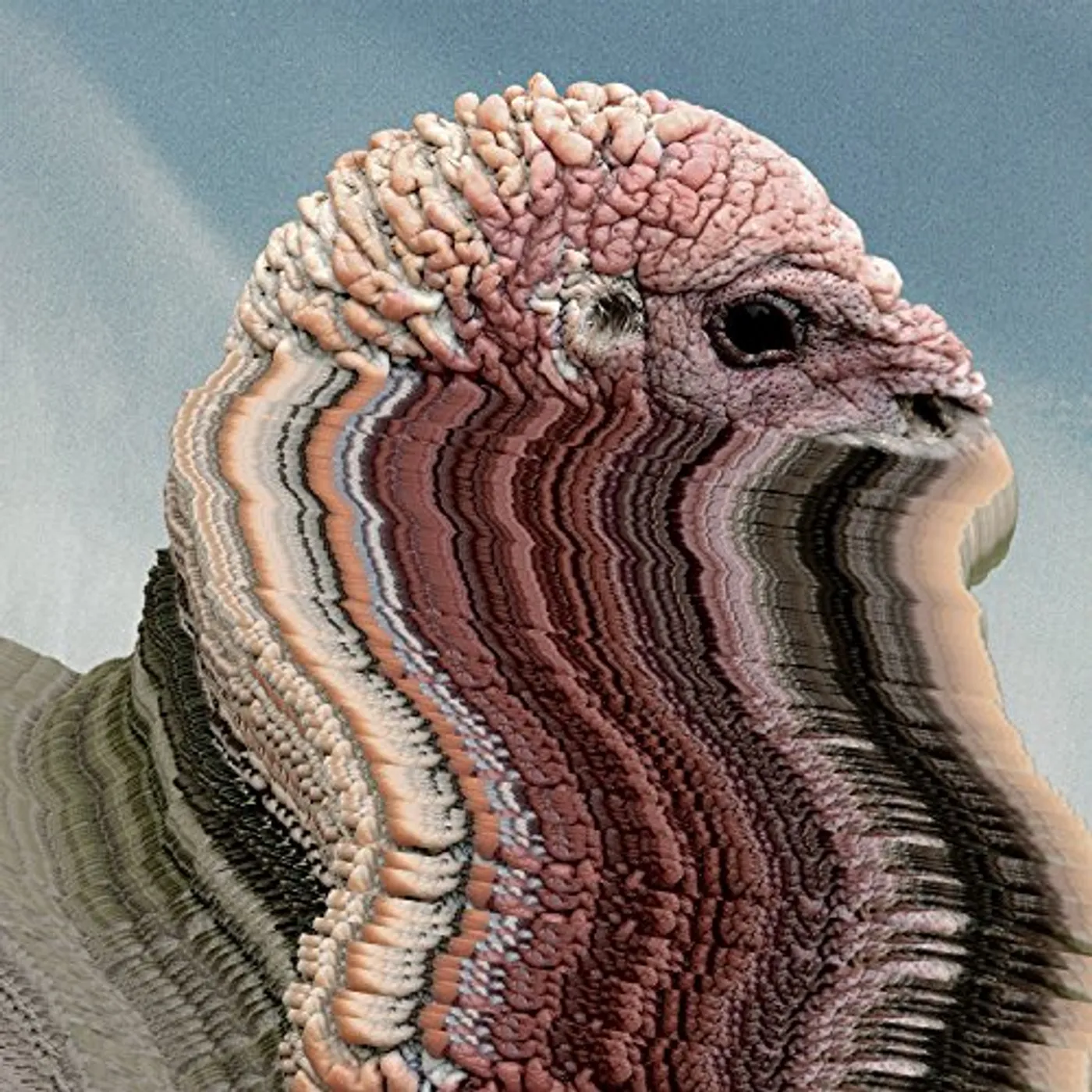 Holy Fuck Bird Brains (10-Inch) Vinyl Record