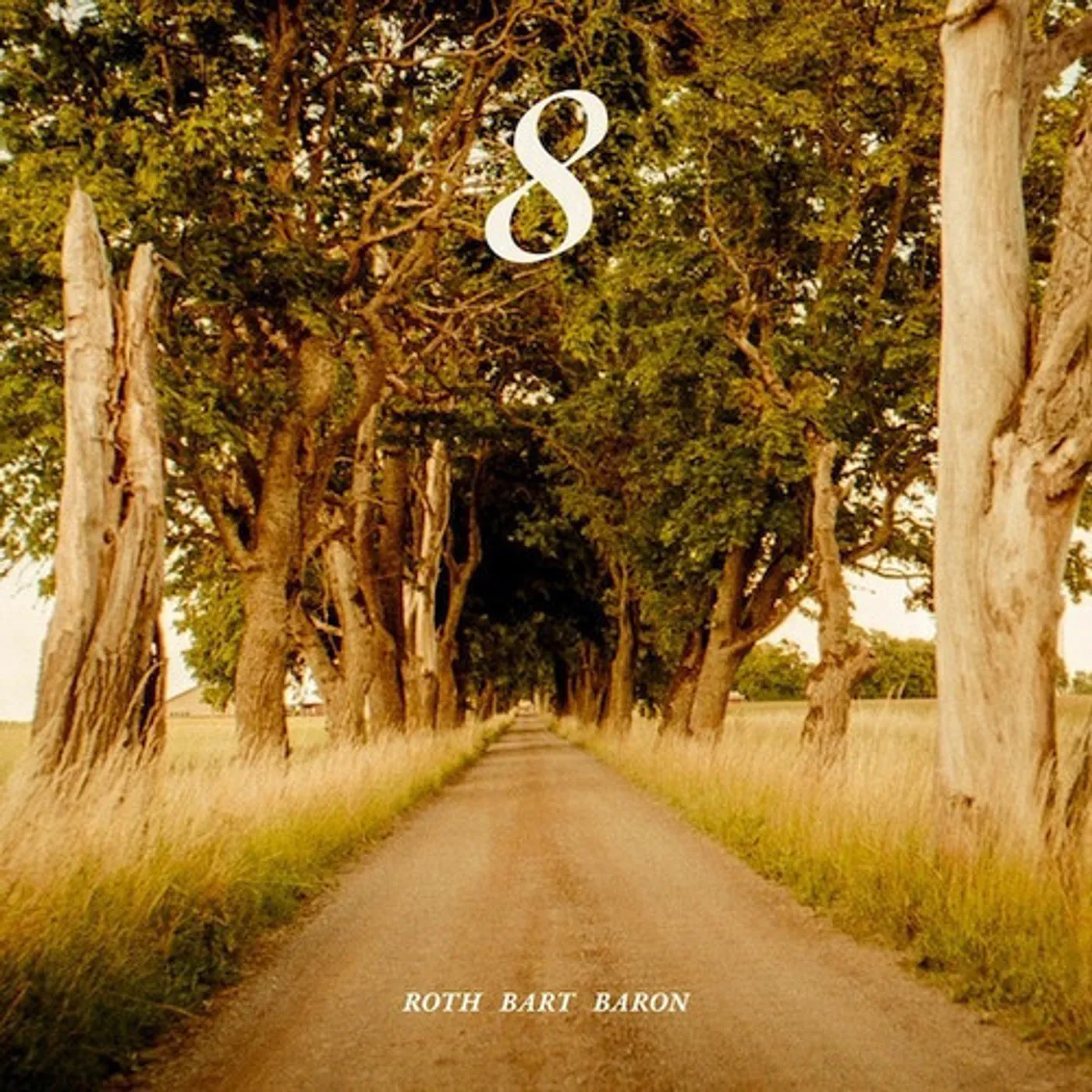 ROTH BART BARON 8 Vinyl Record