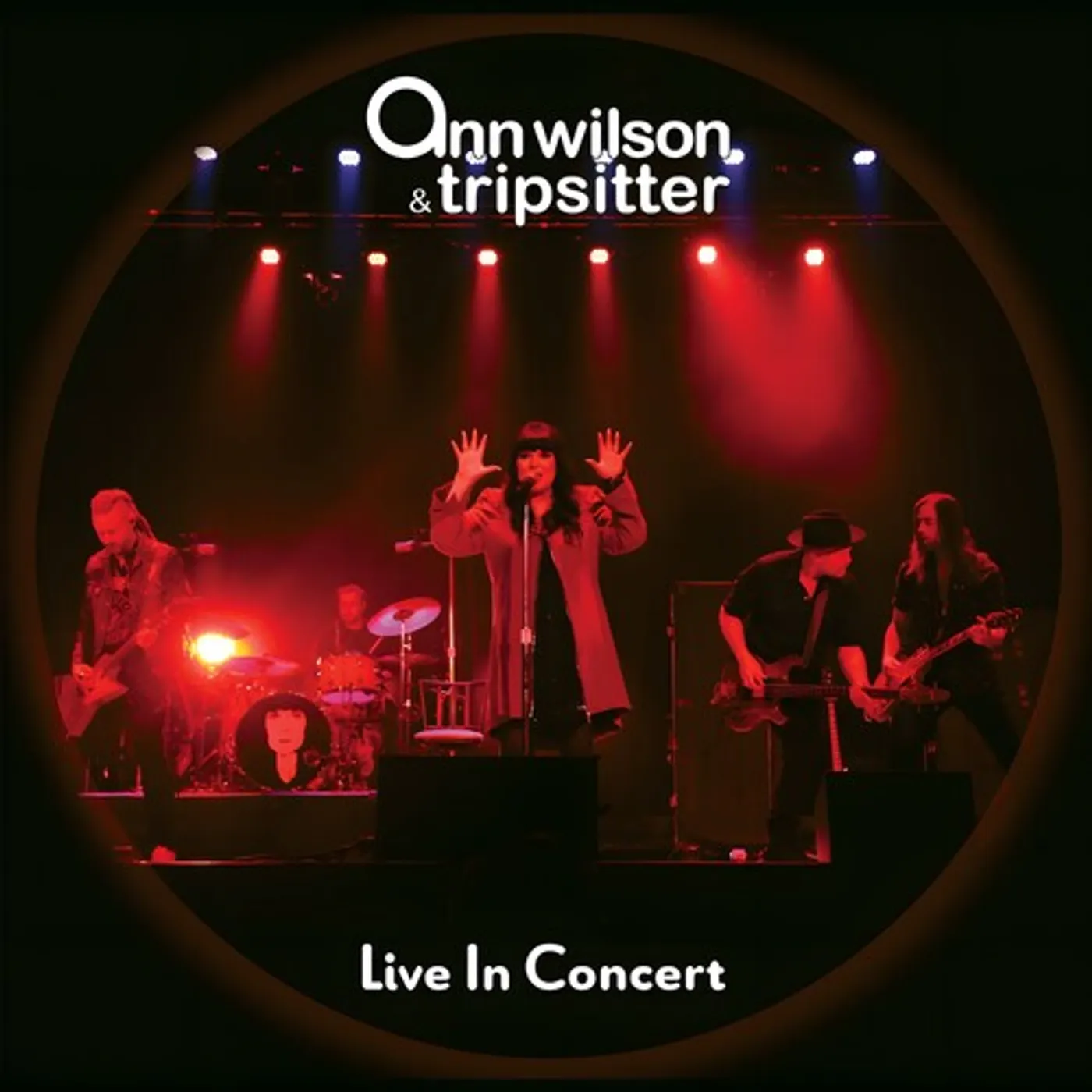 Ann Wilson & Tripsitter Live In Concert Vinyl Record