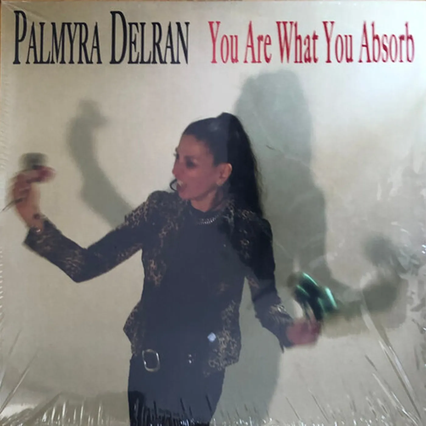 Palmyra Delran YOU ARE WHAT YOU ABSORB Vinyl Record