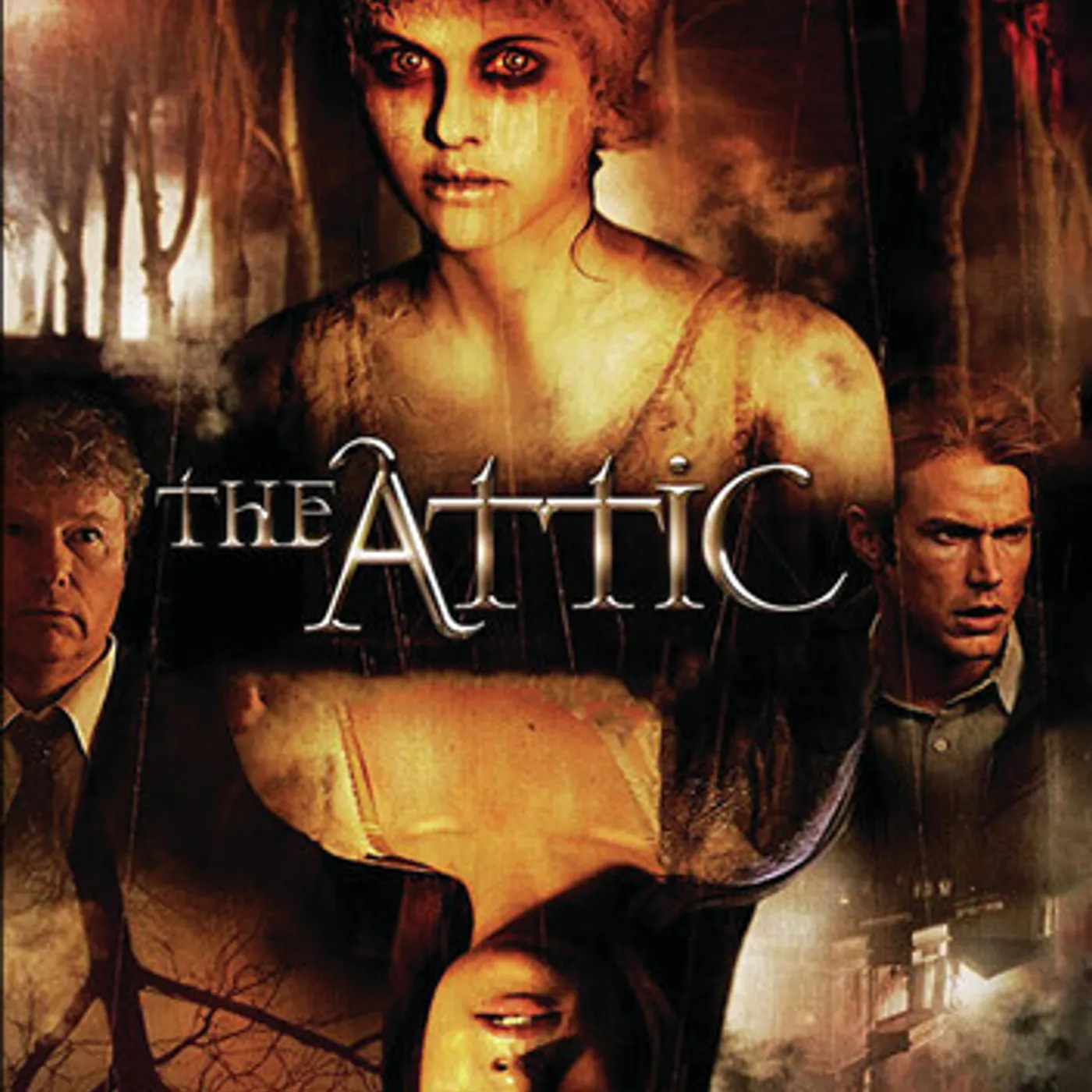 Attic DVD