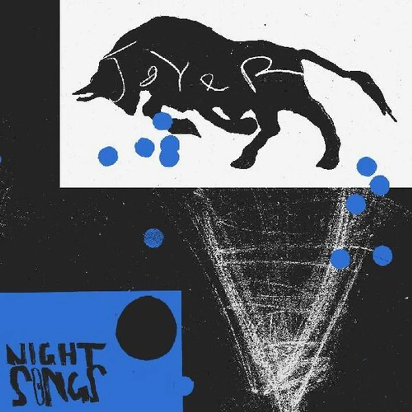 Joyer NIGHT SONGS Vinyl Record