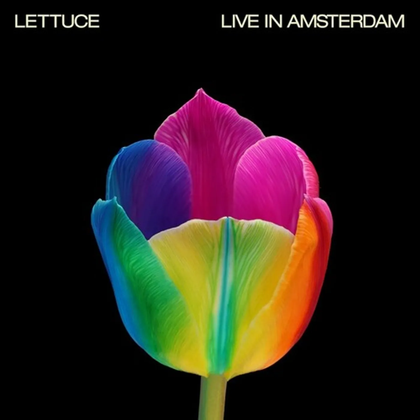 Lettuce Live In Amsterdam Vinyl Record