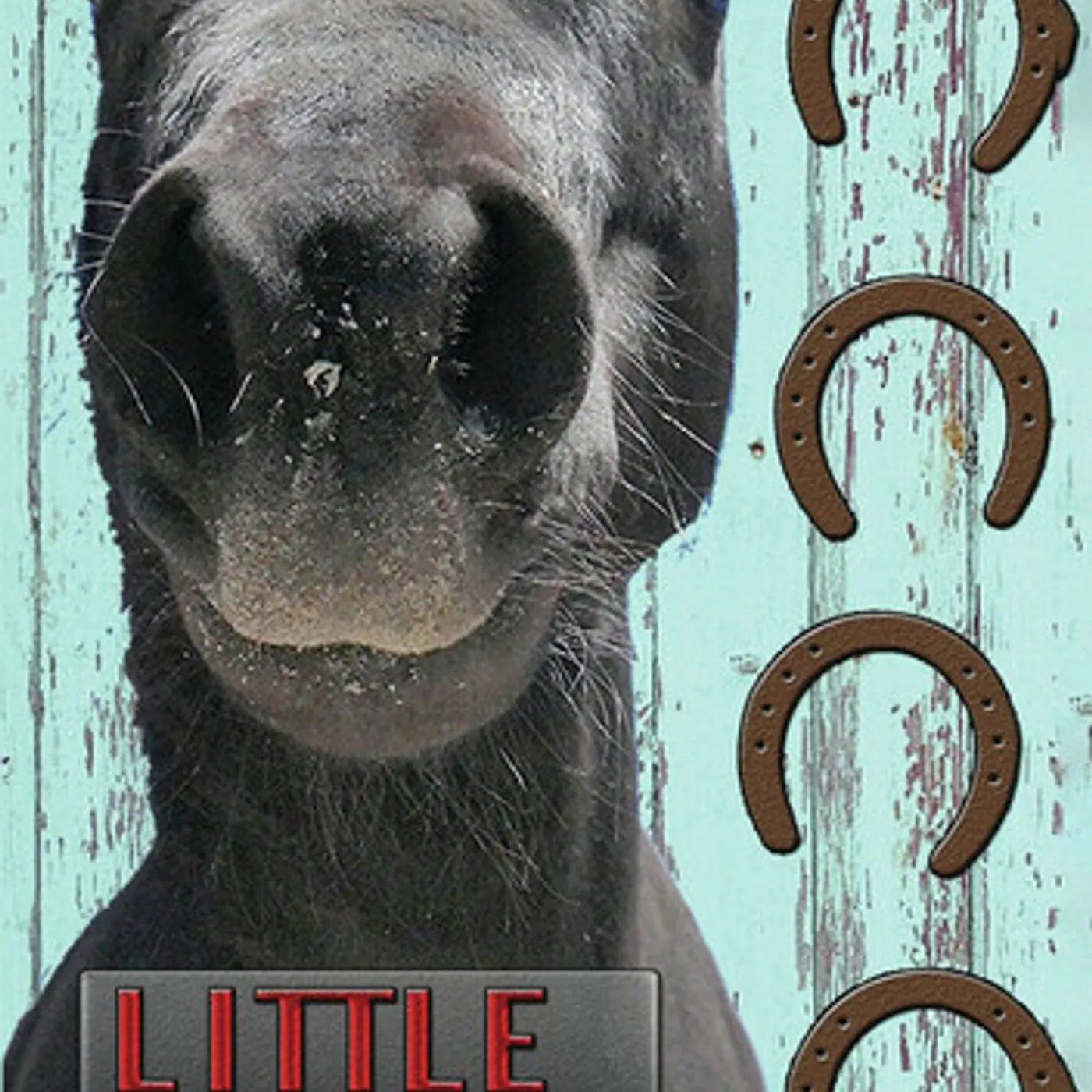 LITTLE COOPER DVD