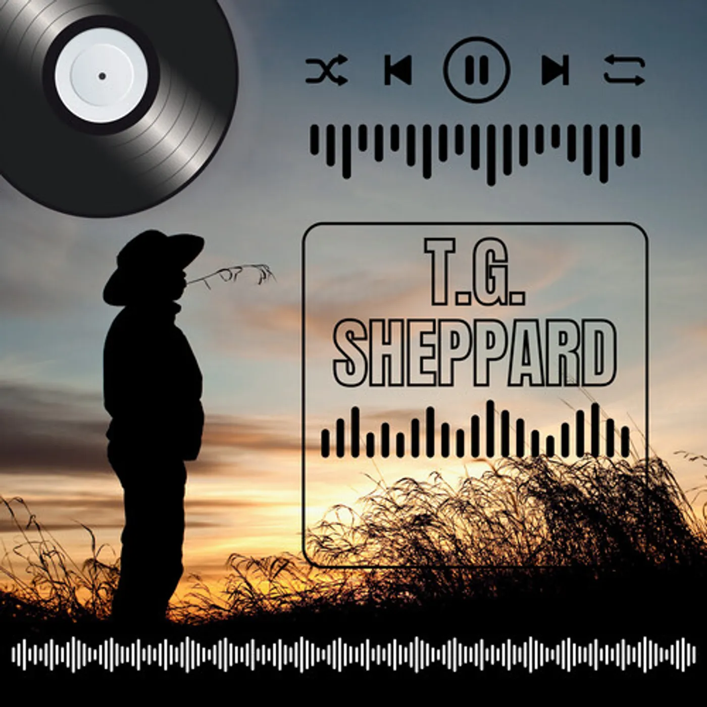 T.G. SHEPPARD'S GREATEST HITS CD