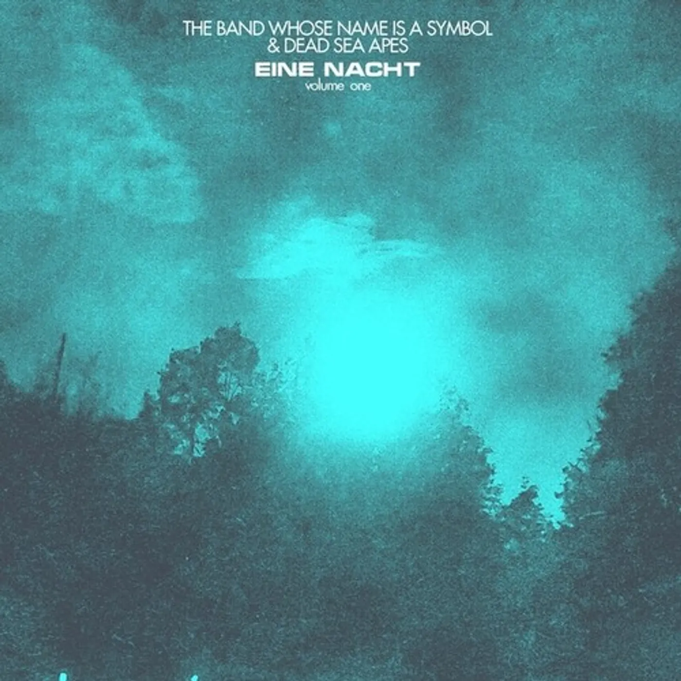 Dead Sea Apes / Band Whose Name Is A Symbol EINE NACT 1 Vinyl Record