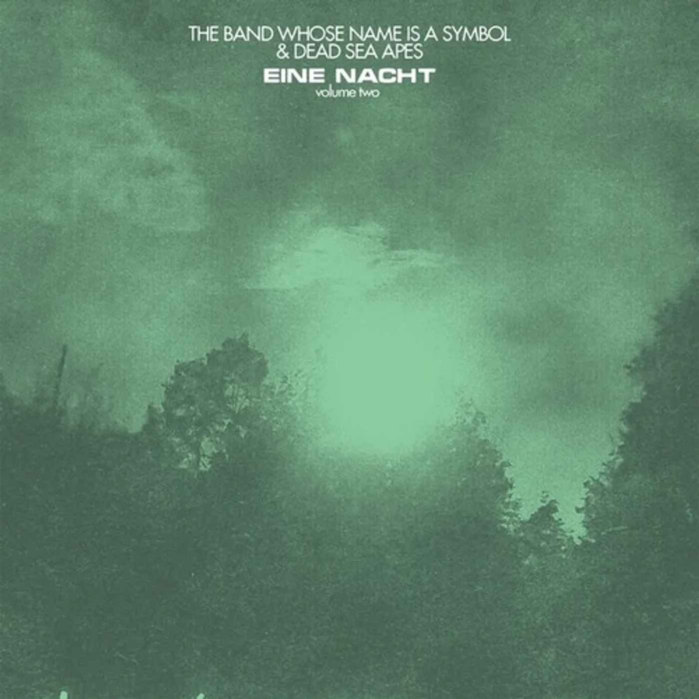 Dead Sea Apes / Band Whose Name Is A Symbol EINE NACT 2 Vinyl Record