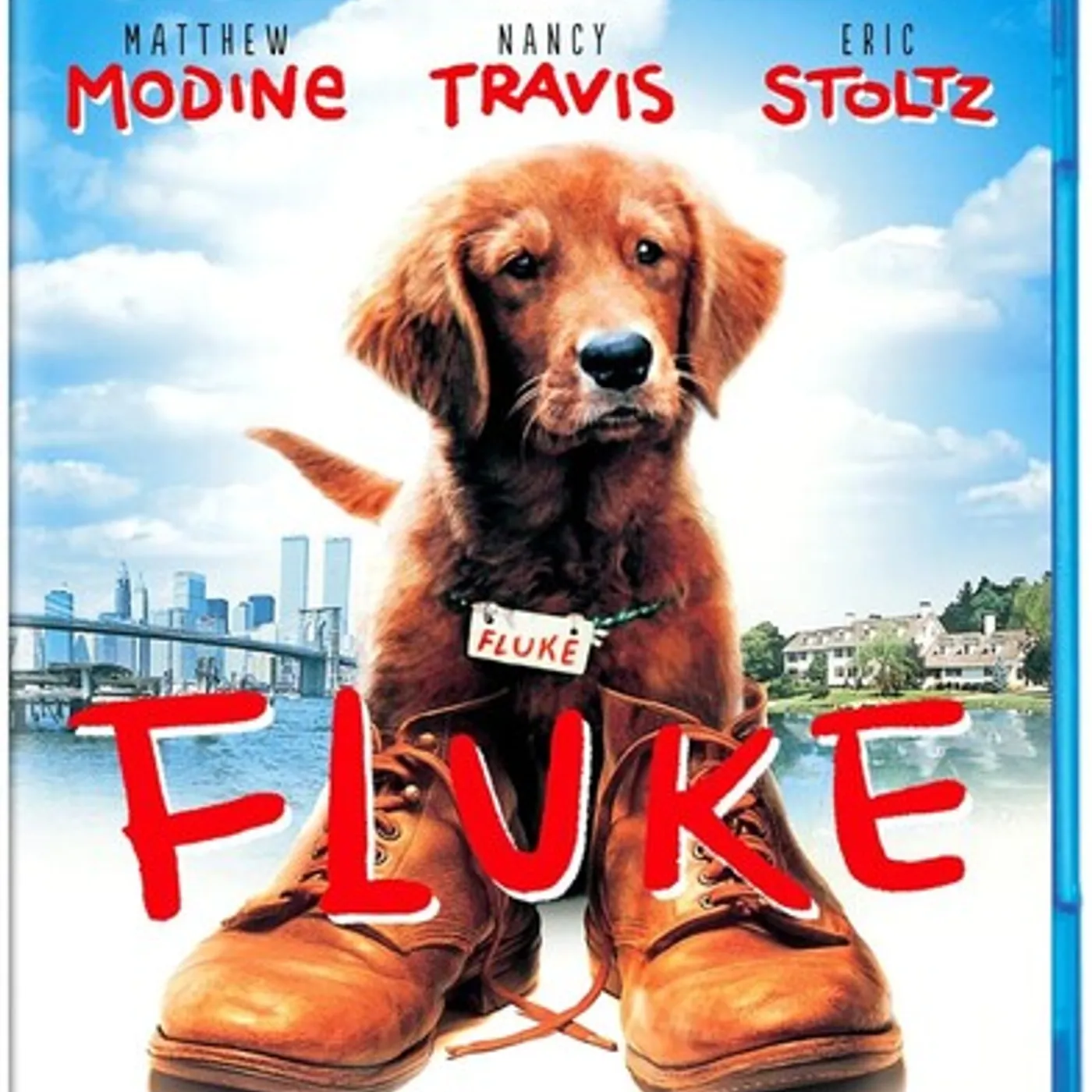 FLUKE Blu-ray