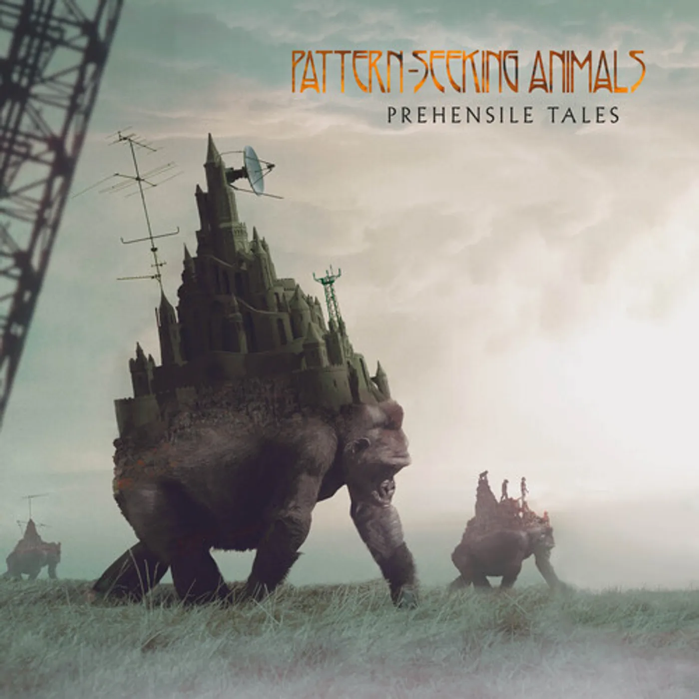 Pattern-Seeking Animals PREHENSILE TALES Vinyl Record